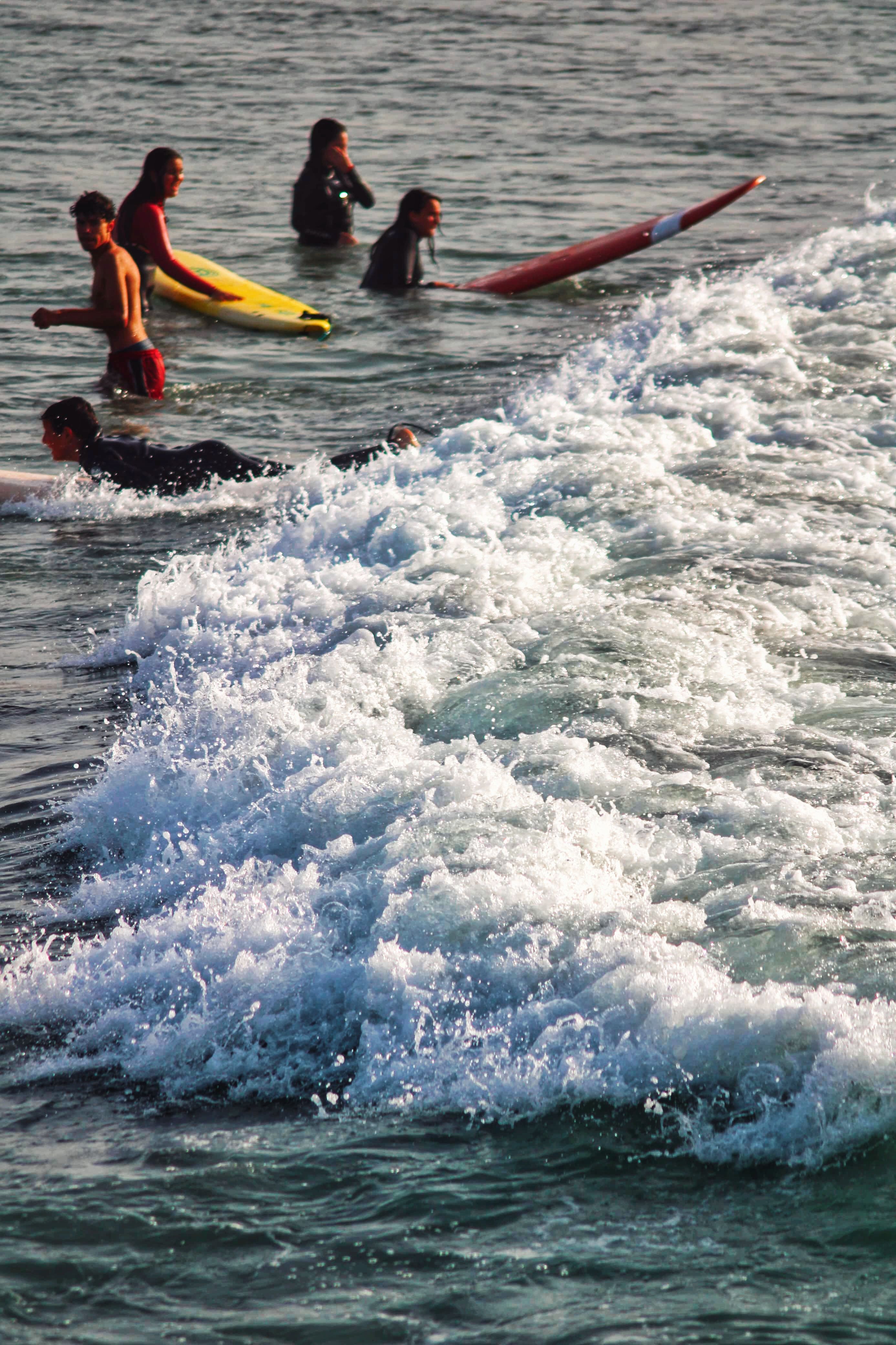 Group of Surfers Riding Ocean Waves · Free Stock Photo