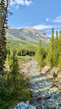 A serene alpine river flows through a lush forest with majestic mountain backdrop.
