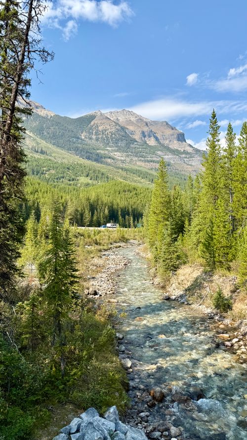 Free A serene alpine river flows through a lush forest with majestic mountain backdrop. Stock Photo