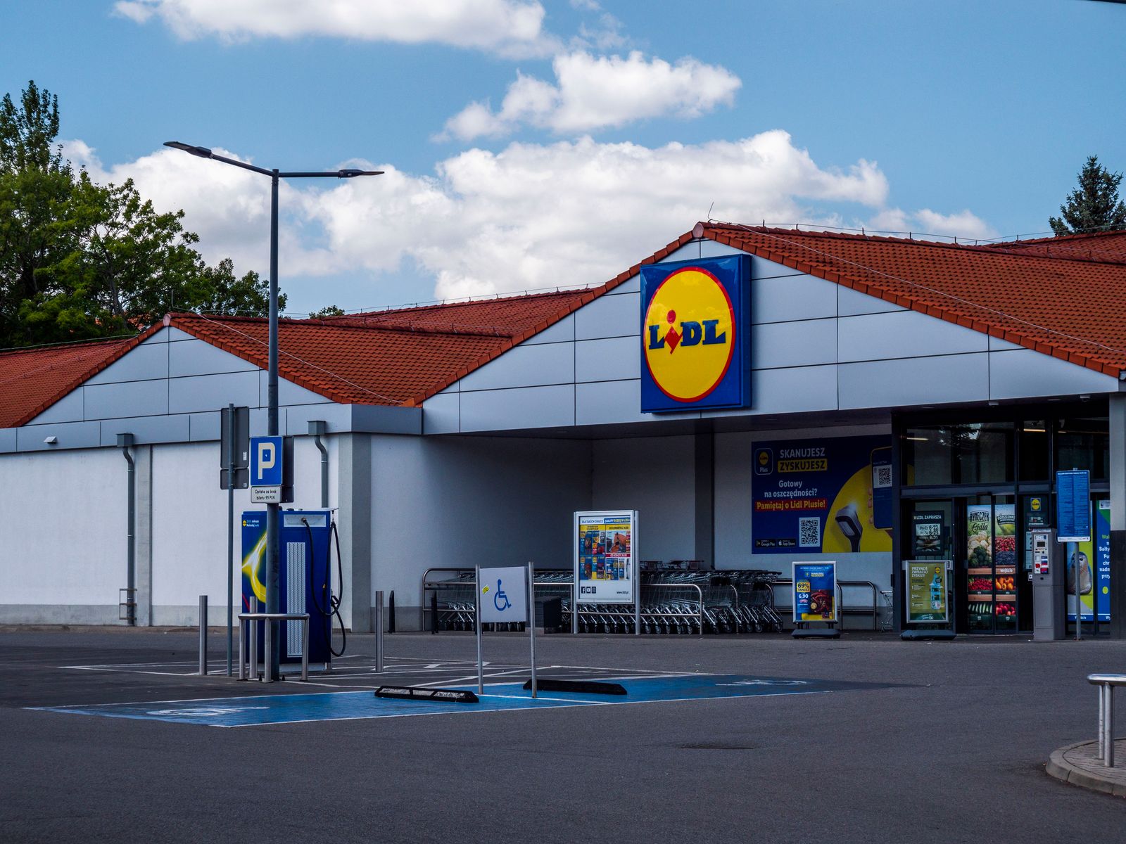 Același coș de la Lidl, în 6 țări Un român cumpără 131 de coșuri dintr-un salariu, un neamț 323