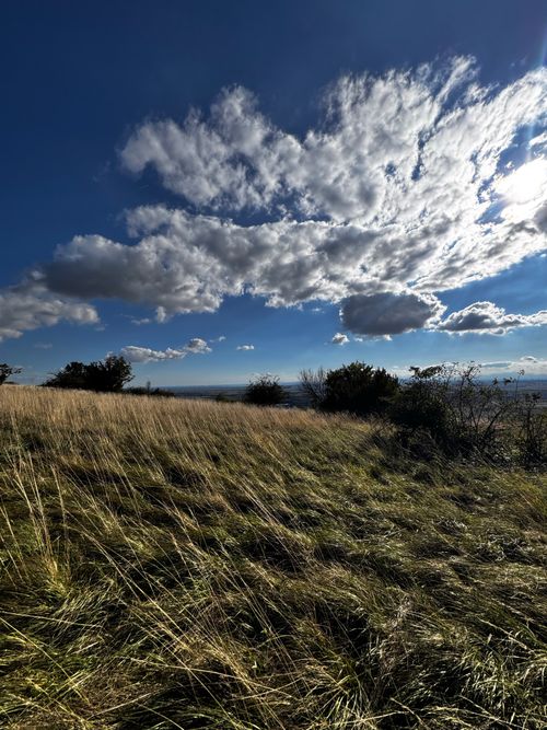 Free A vast grassland under a dramatic cloud-filled sky, showcasing nature's beauty. Stock Photo
