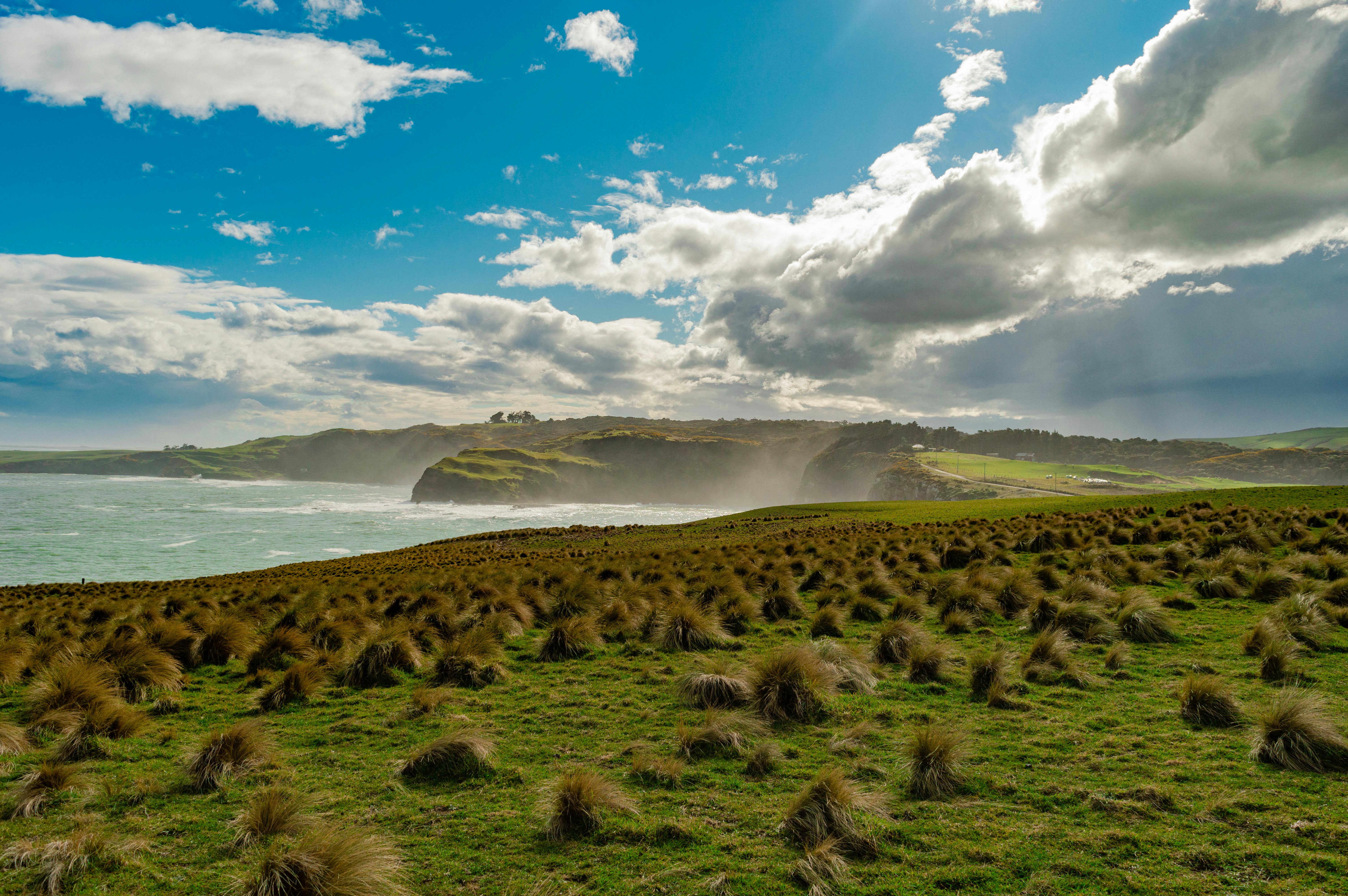 Breathtaking coastal view of New Zealand cliffs and ocean under vibrant sky.