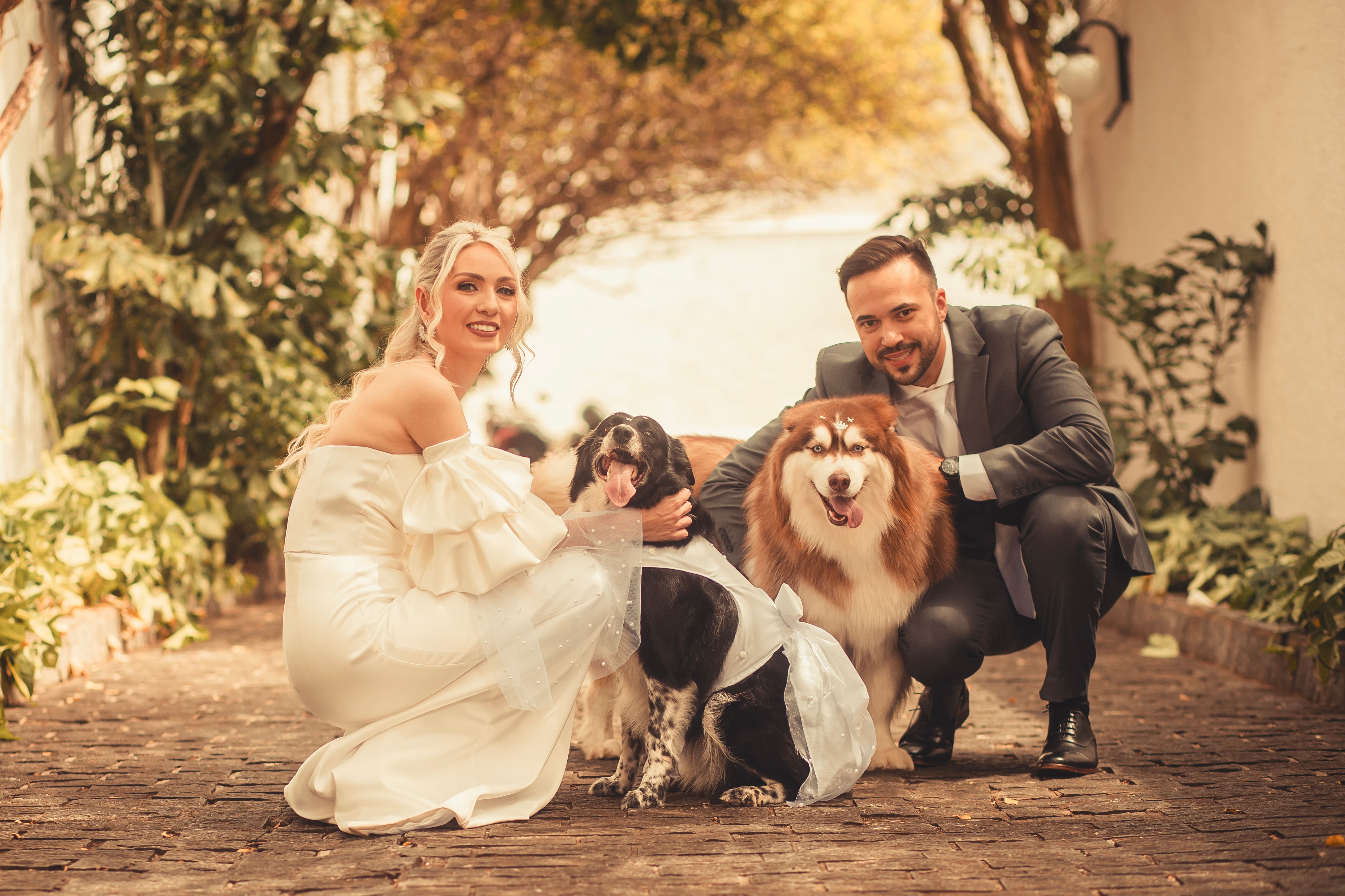 Rapawzel Dog Grooming &amp; Daycare Opens New Location on Manhattan’s Upper West Side — Photo by Breno Cardoso on Pexels