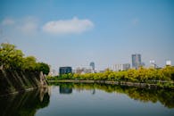 Scenic Urban Park with Cityscape Reflection
