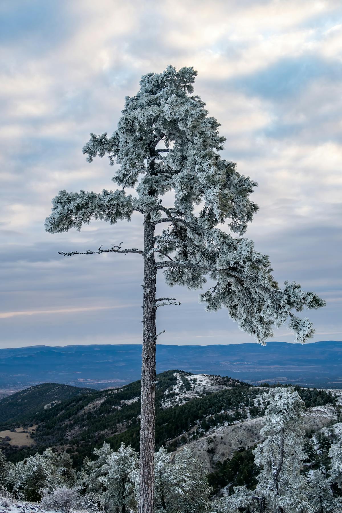 Ice Agents Photos Download The BEST Free Ice Agents Stock Photos HD