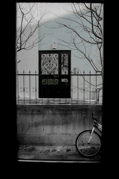 A black and blue bicycle rests against a decorated metal door, framed by bare winter trees.