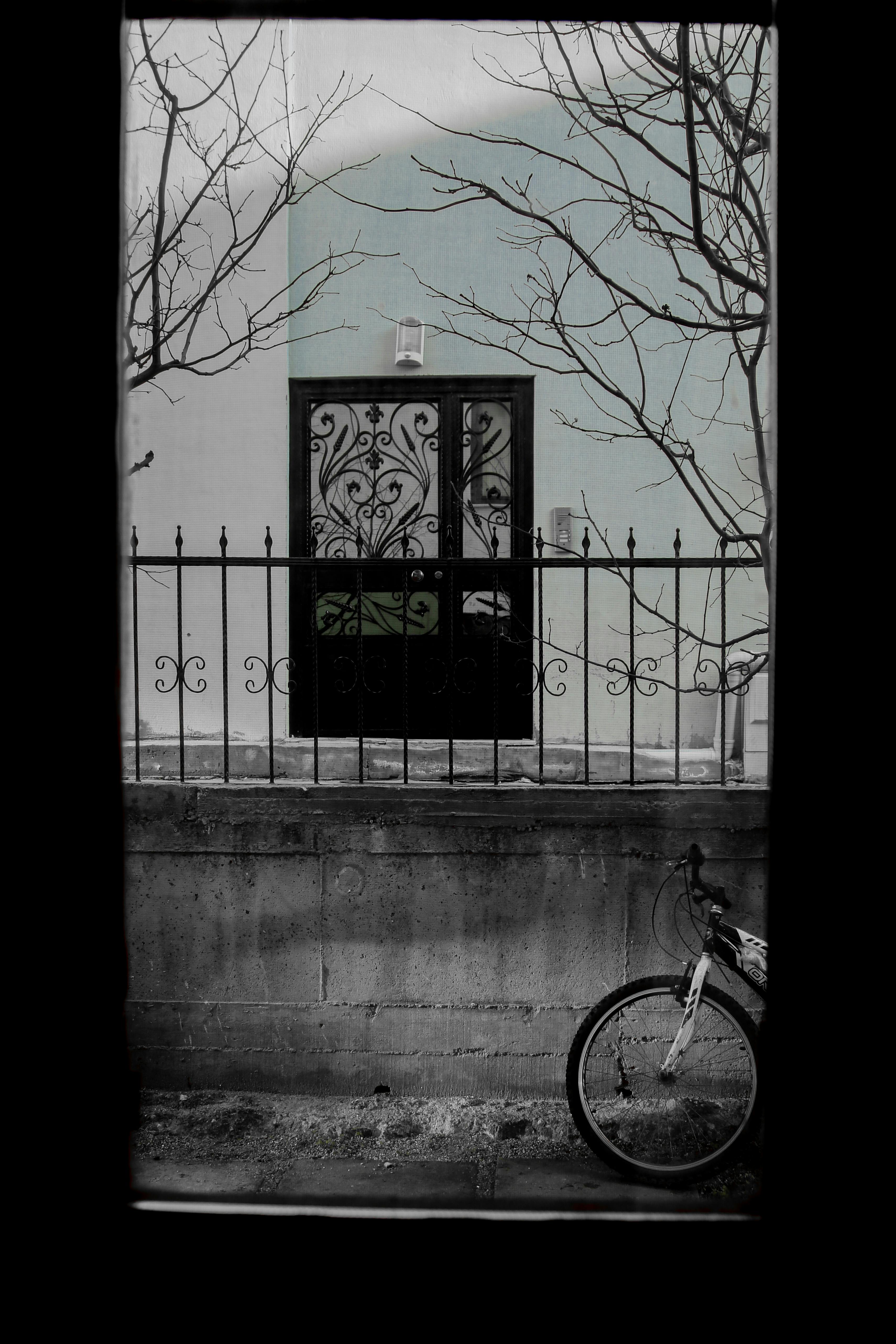 Window Scenes Photos, Download The BEST Free Window Scenes Stock Photos ...