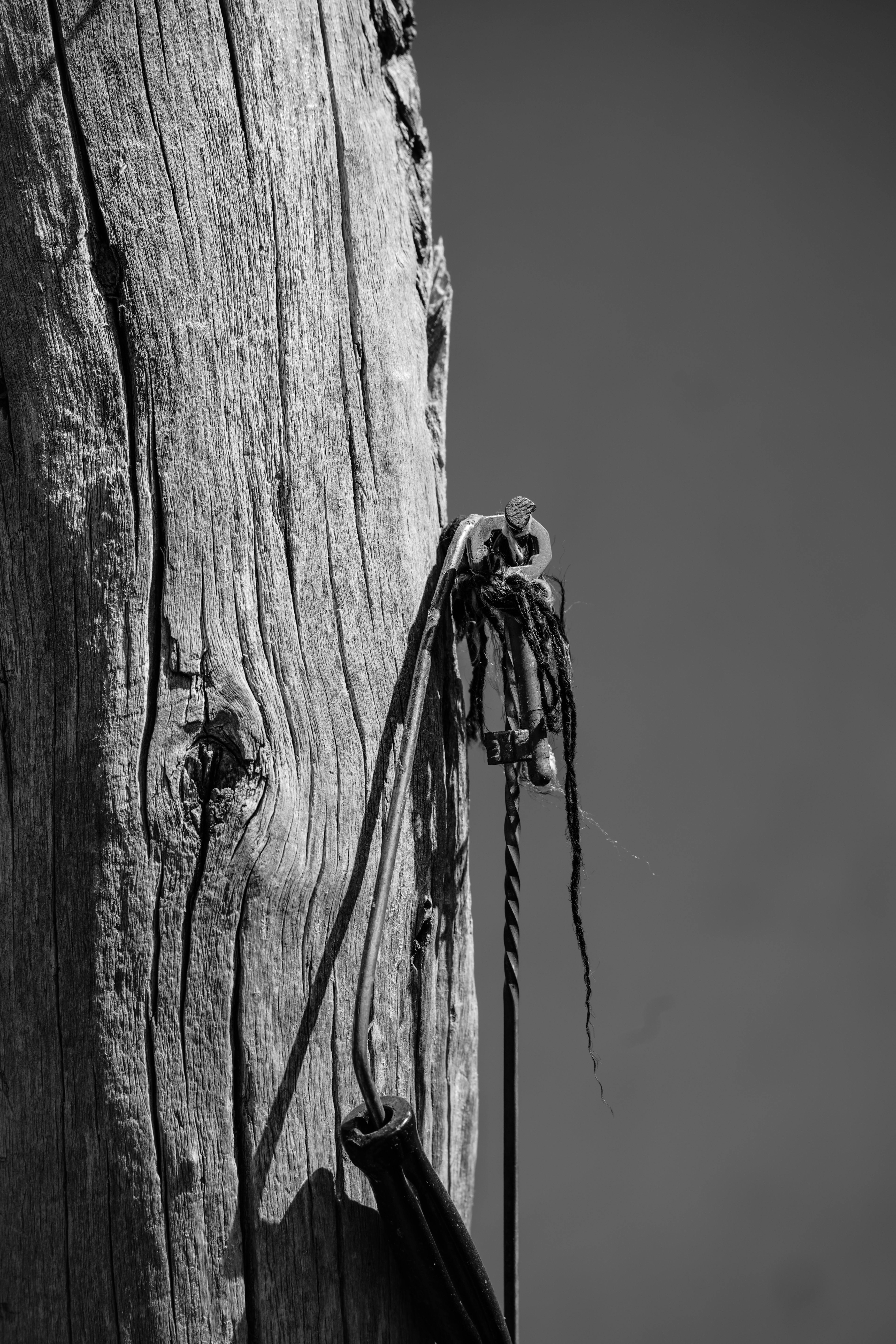 Gratuit Image en noir et blanc d'un poteau en bois rustique avec des détails en fil de fer sur un fond uni. Photos
