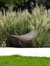 Contemporary Garden Bench Amidst Ornamental Grass