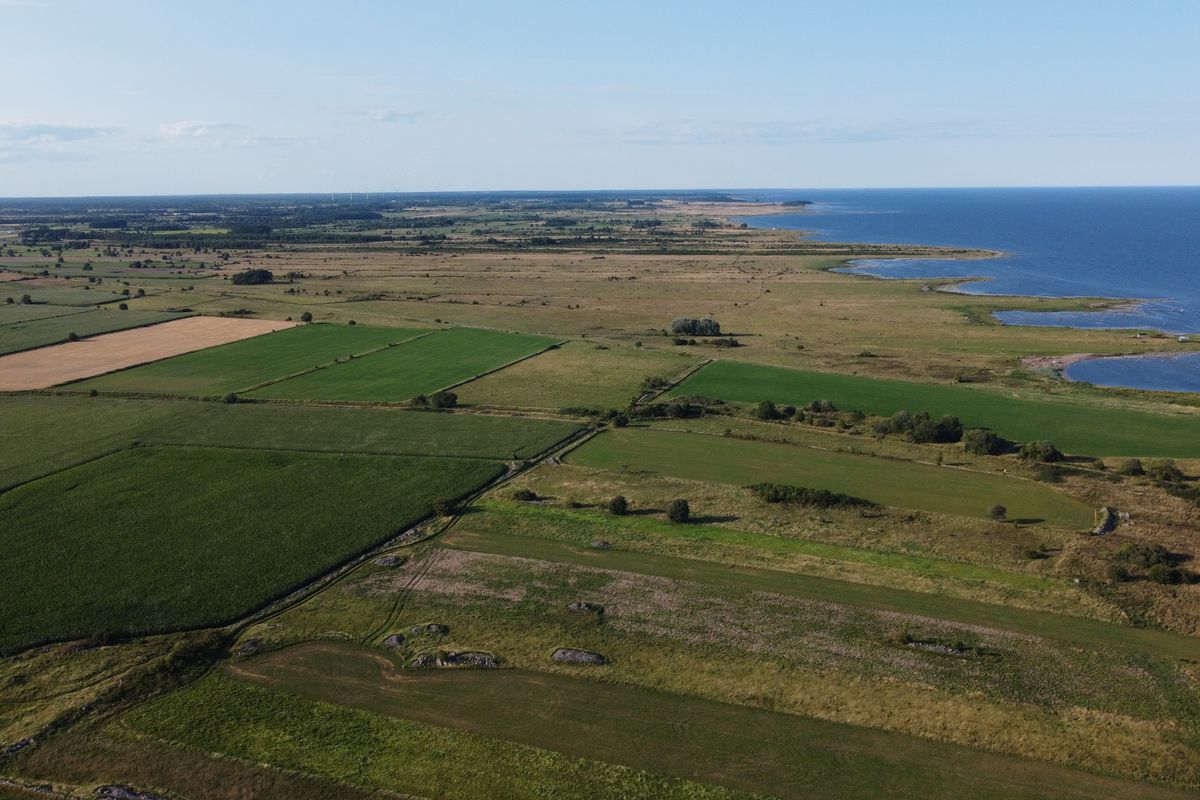 doggerland - Doggerland : définition, localisation et origine du nom