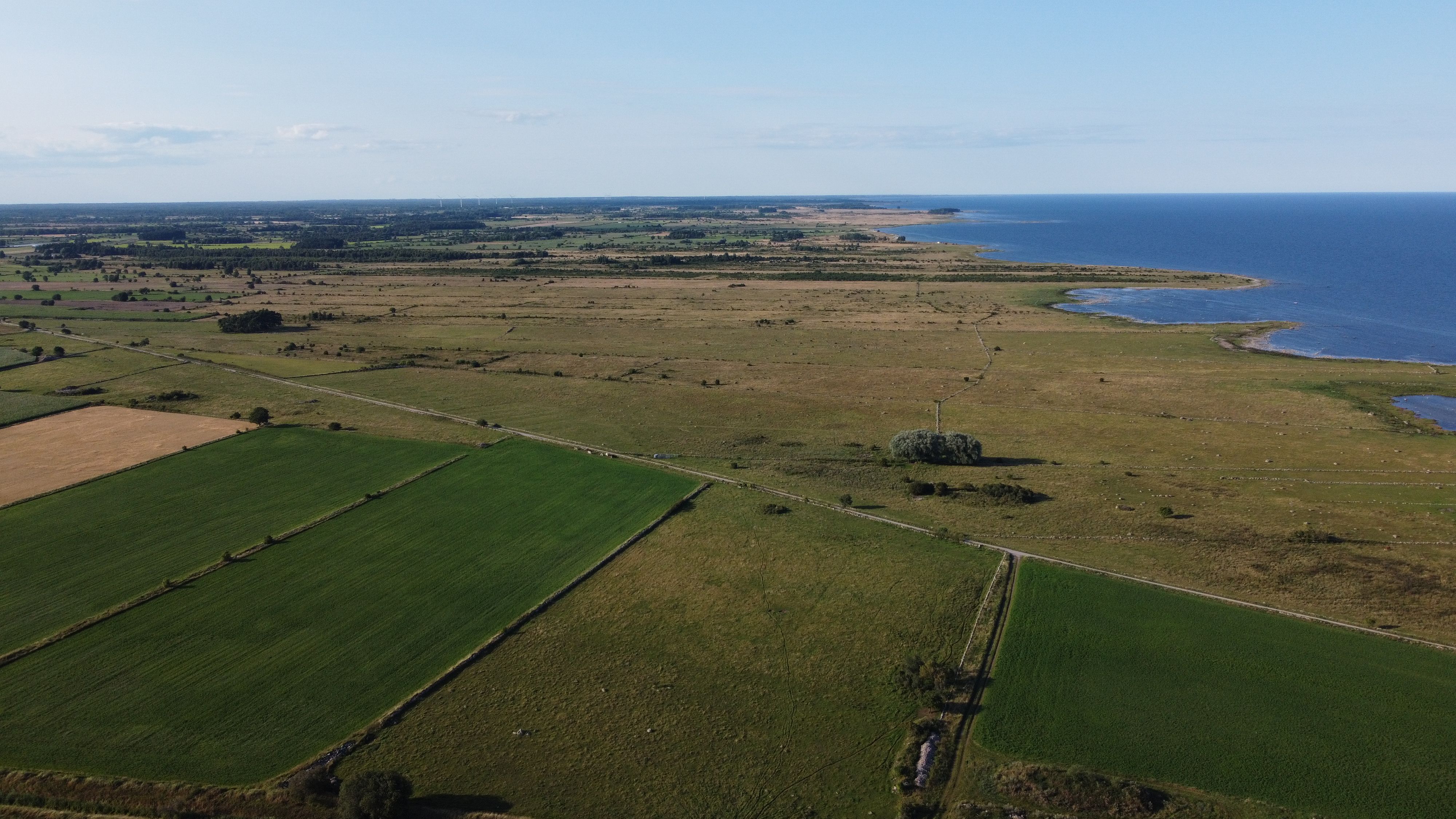 Sweeping aerial view of lush farmland meeting the Swedish coastline on a bright summer day.