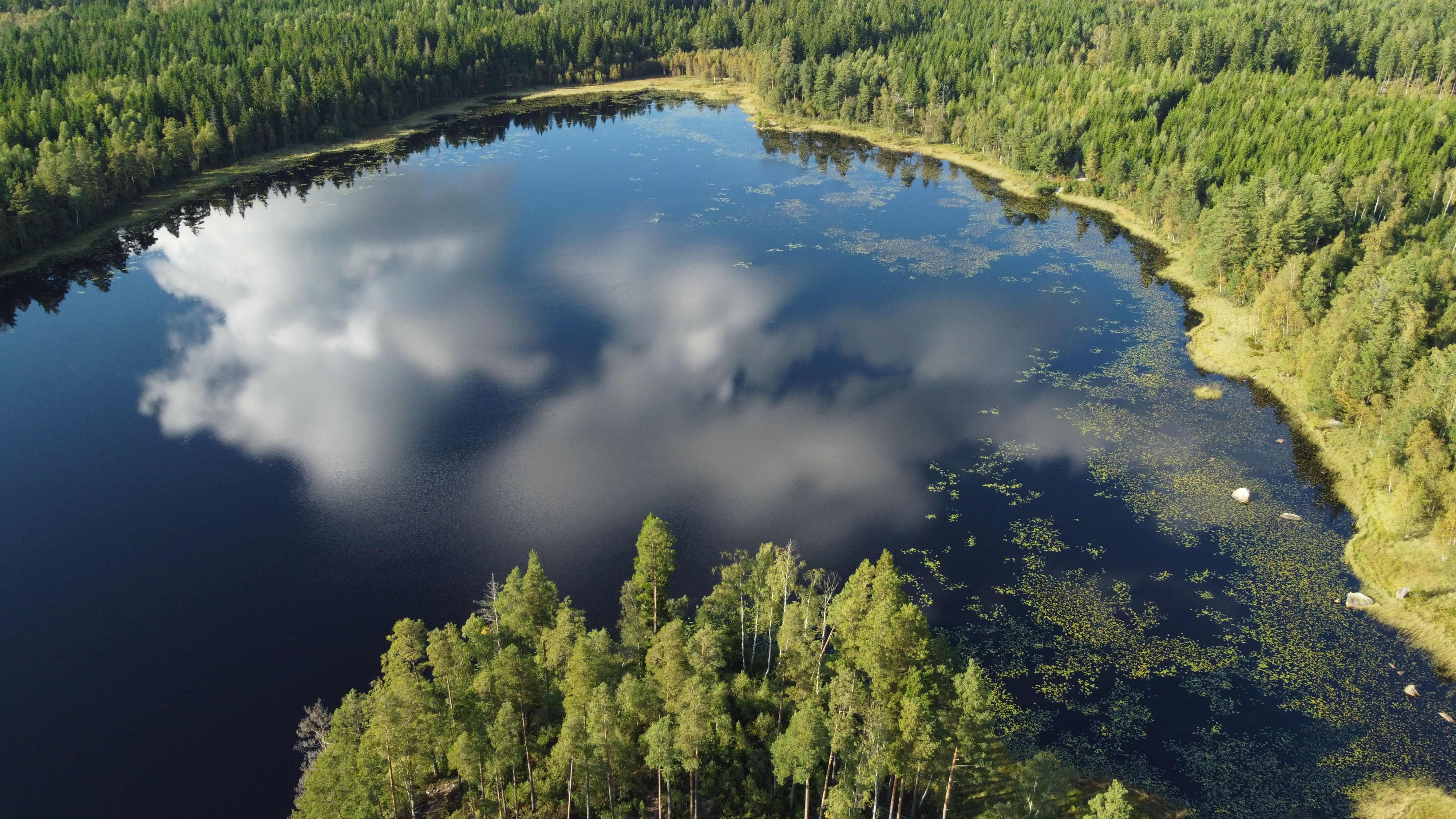 Stunning aerial view of a reflective lake surrounded by dense Swedish forest.