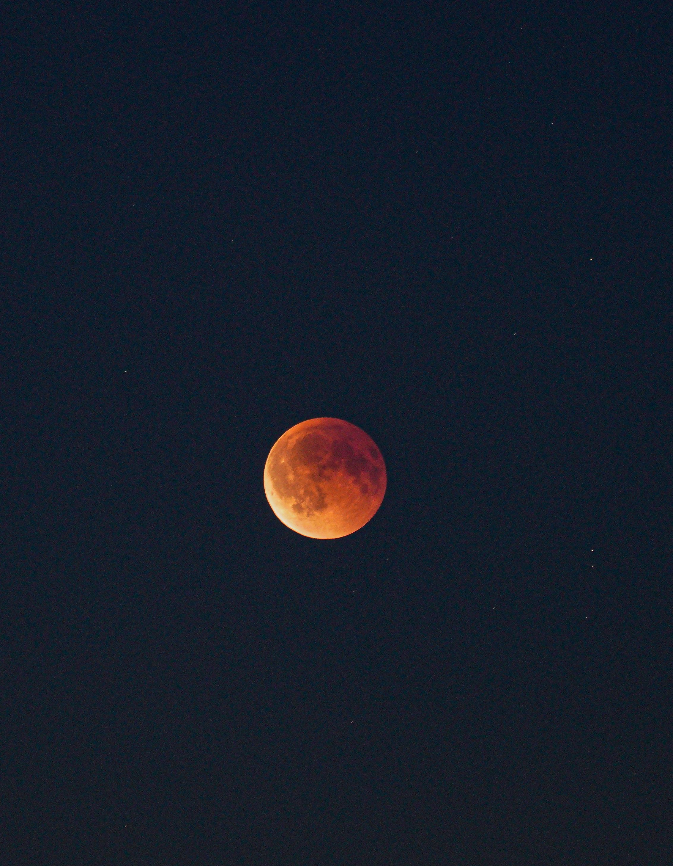Blood Moon Lunar Eclipse Against Night Sky · Free Stock Photo