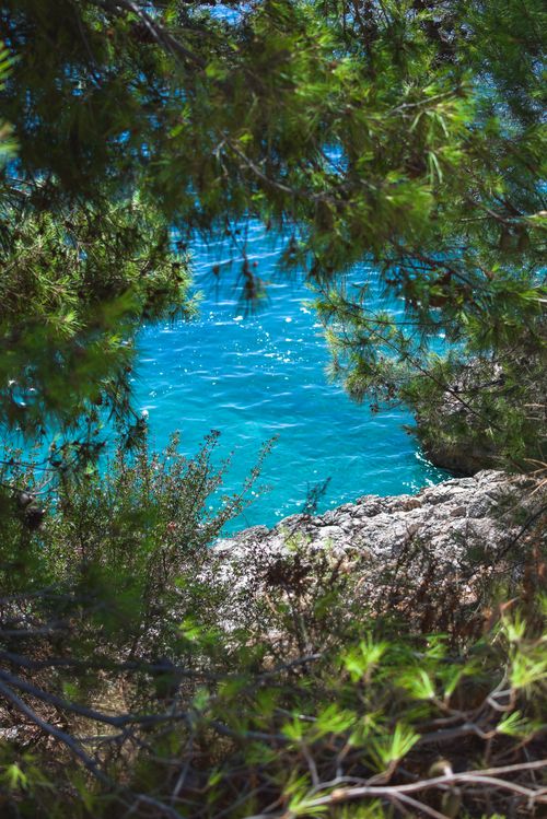 Free Stunning view of turquoise water through lush greenery on a sunny summer day. Stock Photo