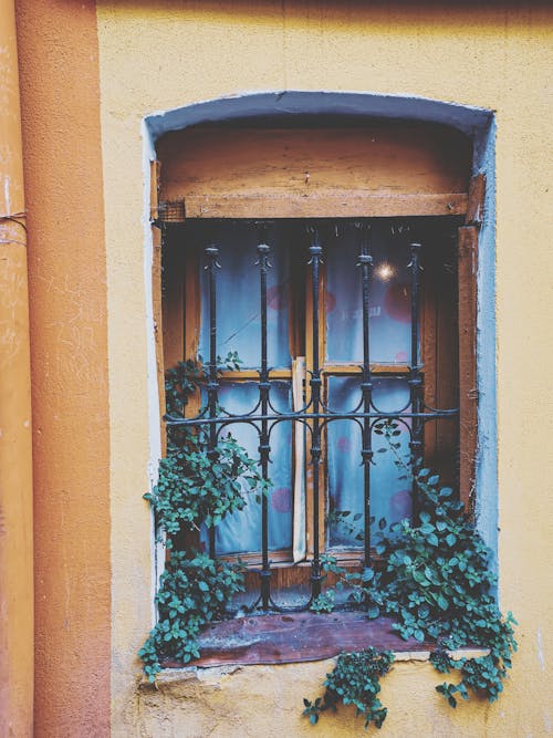 Black Window Fence