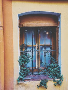 复古木窗配有铁格栅和常春藤，营造出复古的建筑魅力