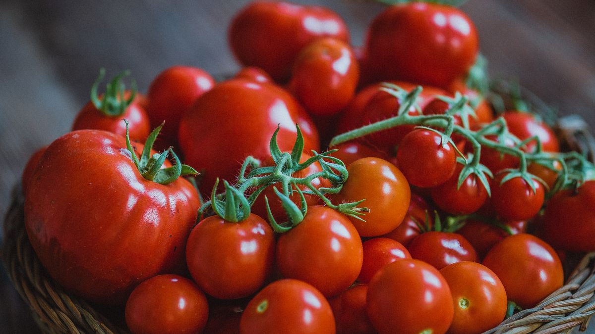 Alimentation saisonnière et locale : recettes dété 2026