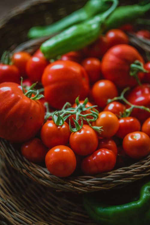 Free A collection of fresh tomatoes and peppers neatly arranged in wicker baskets for a rustic and organic presentation. Stock Photo