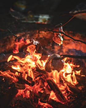 Juicy steak grilling over an open campfire at night in Taggerty, Australia.
