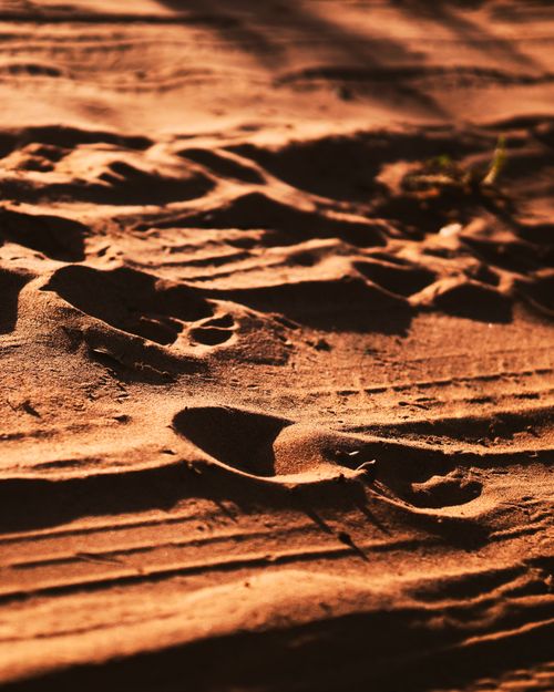 Free Footprints in warm desert sand under a setting sun casting shadows and light. Stock Photo