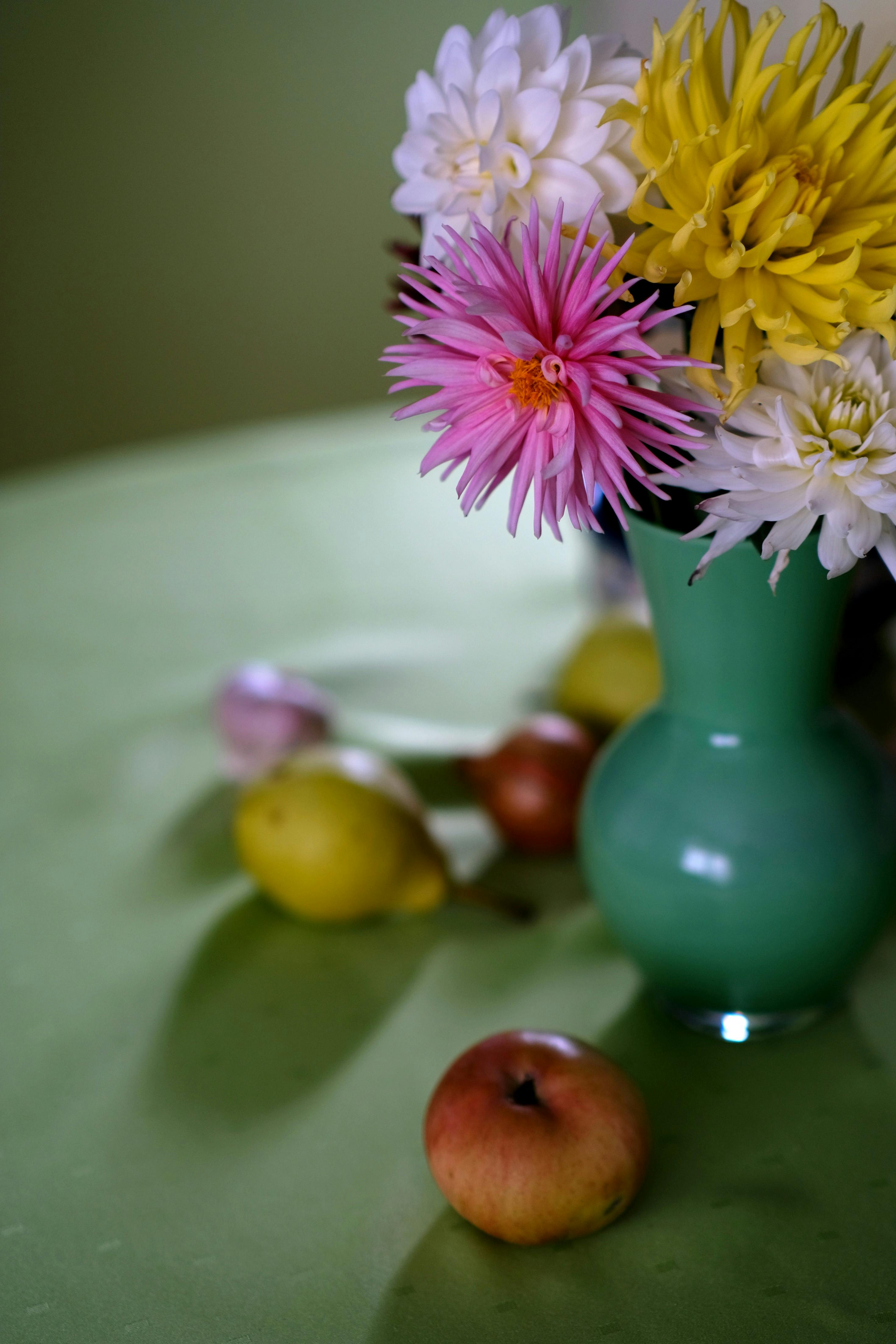 Mastering the Art of Summer Pruning for Apple & Pear Trees: Boosting Fruit Bud Formation and Controlling Vigor