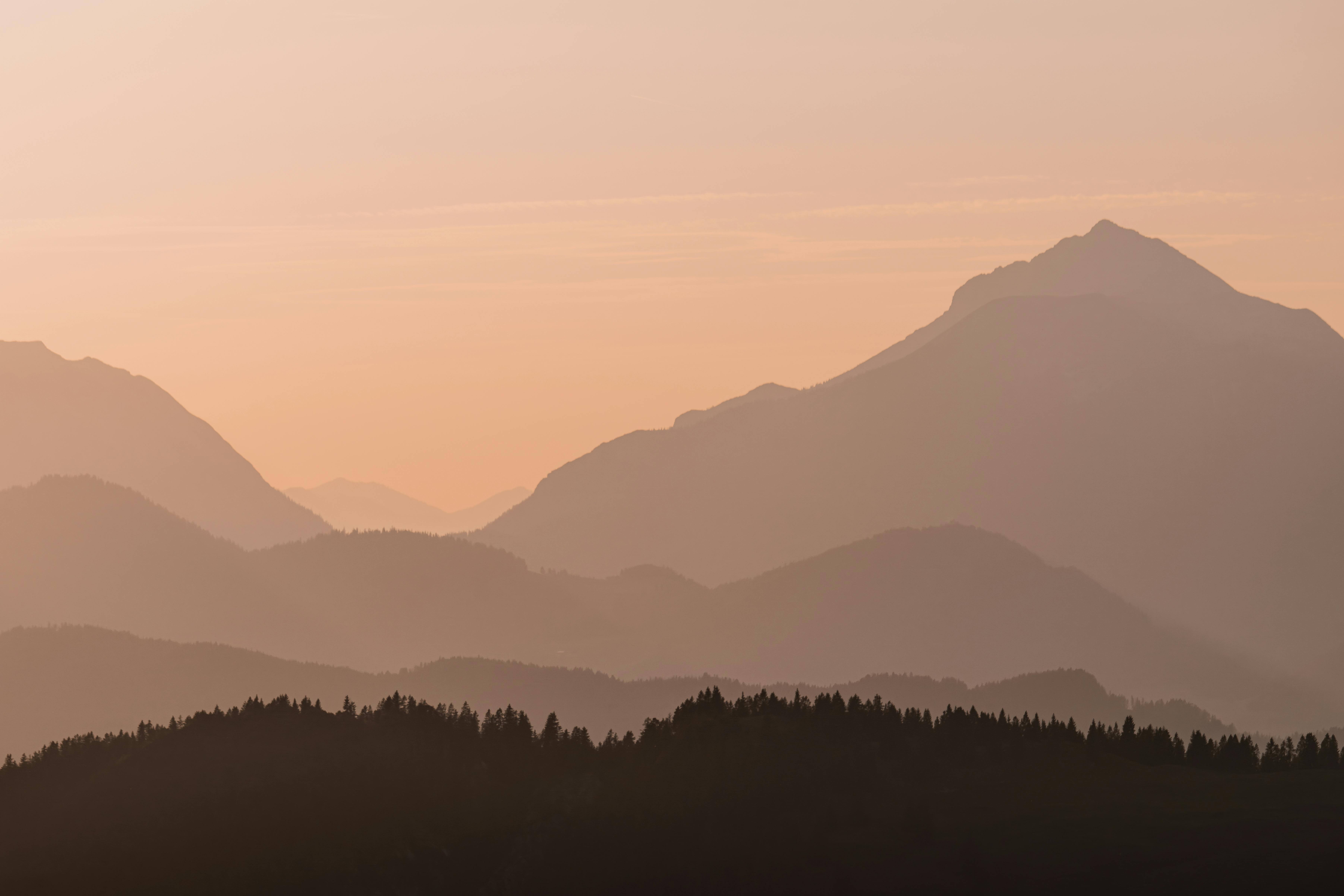 Unsplash, Pexels, Or Pixabay Photos, Download The BEST Free Unsplash ...