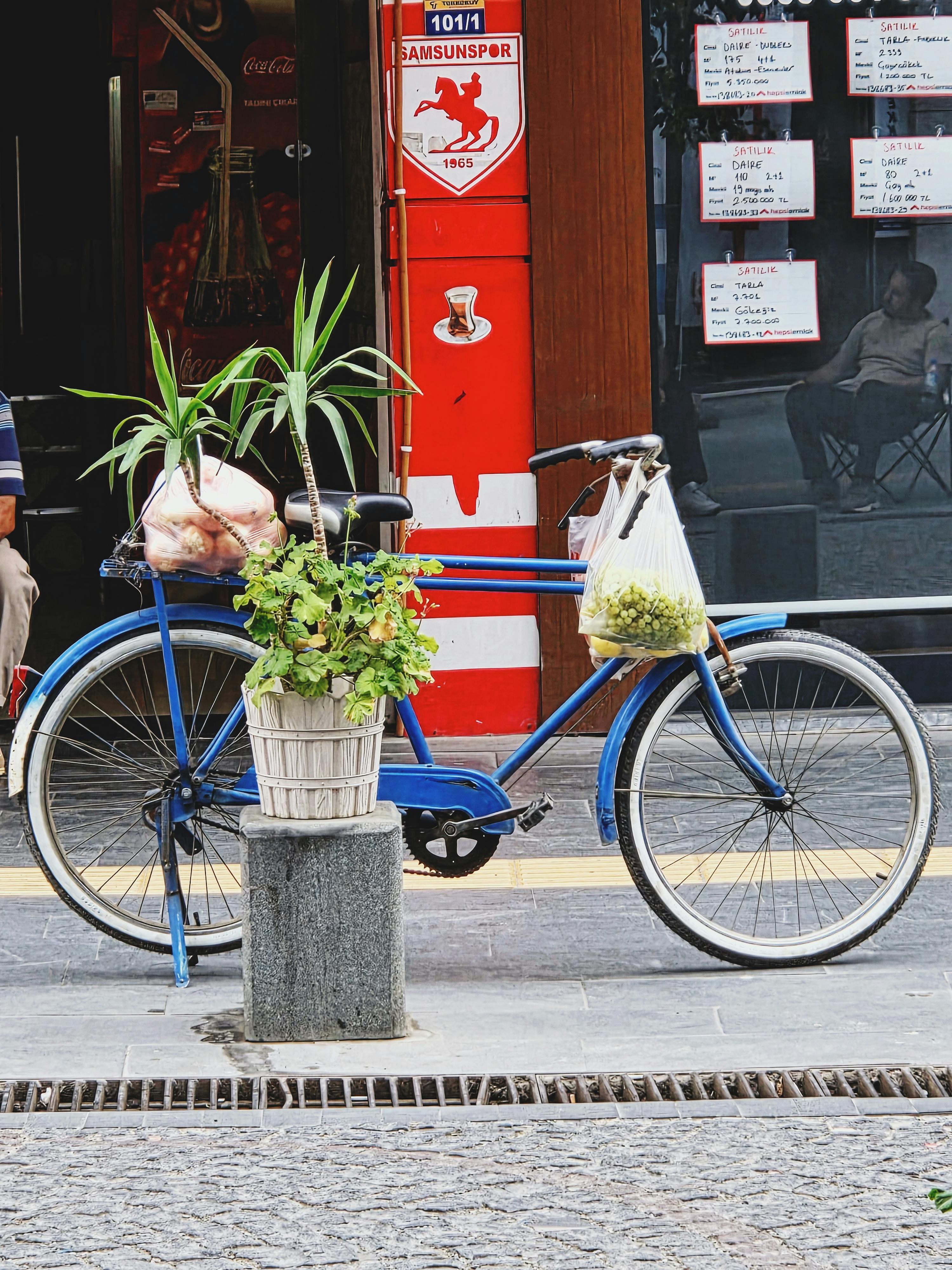 Pam+Bondi+Bikini+Pictures+ Photos, Download The BEST Free Pam+Bondi ...