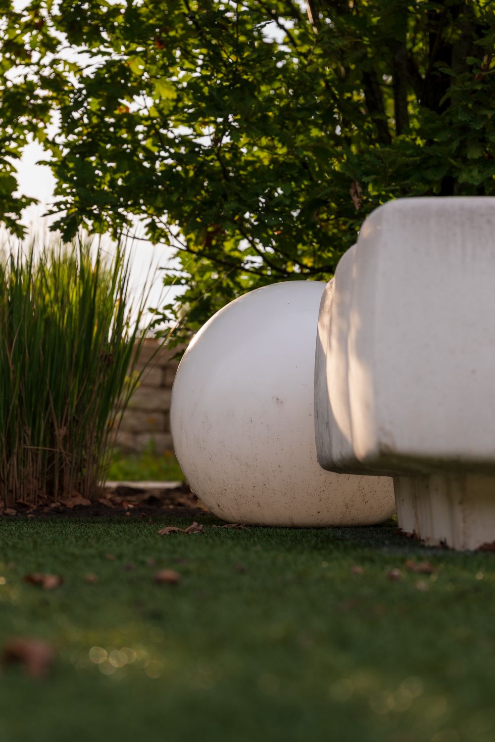 Jardin moderne