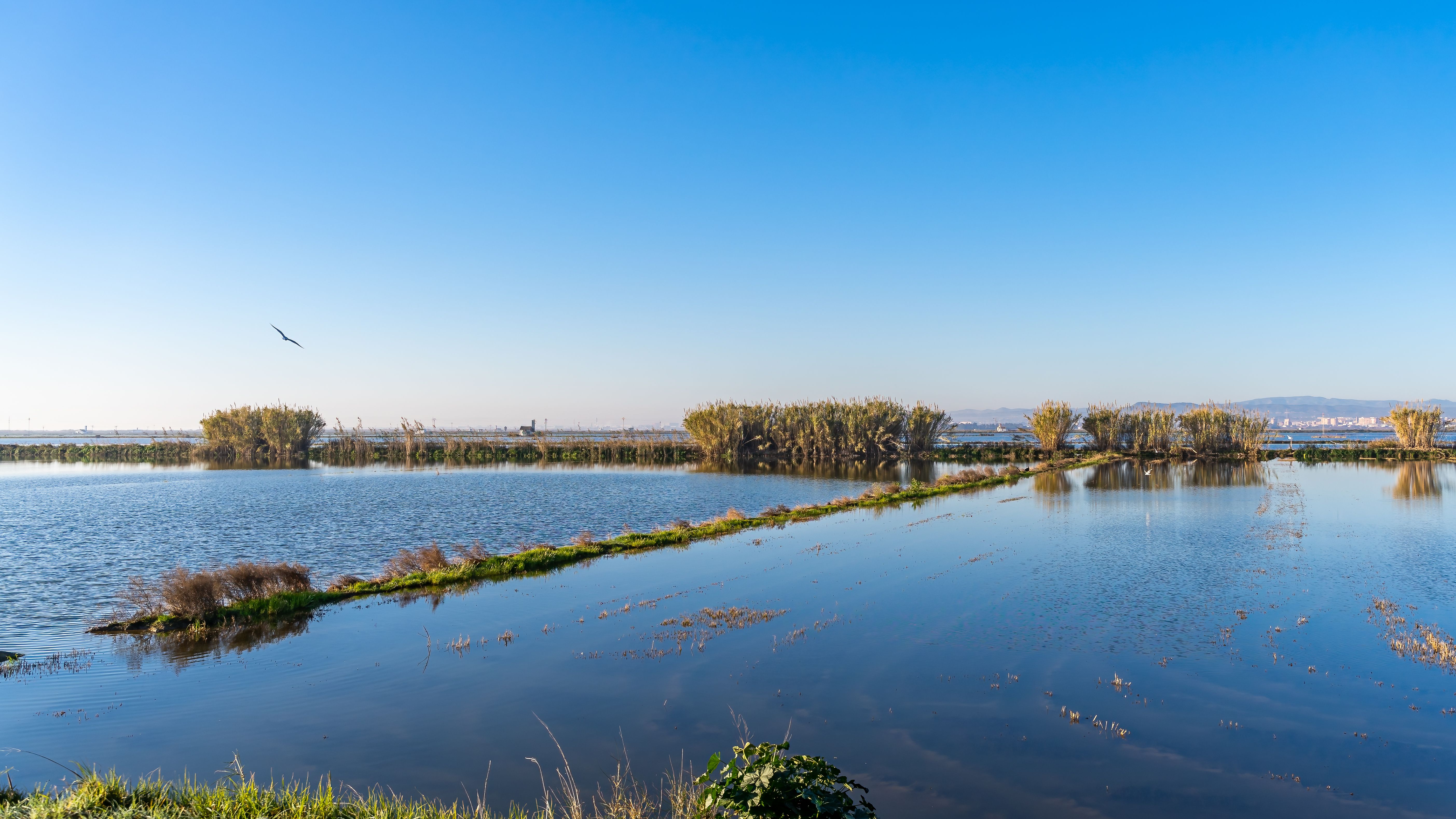 Parc Natural de s'Albufera de Mallorca