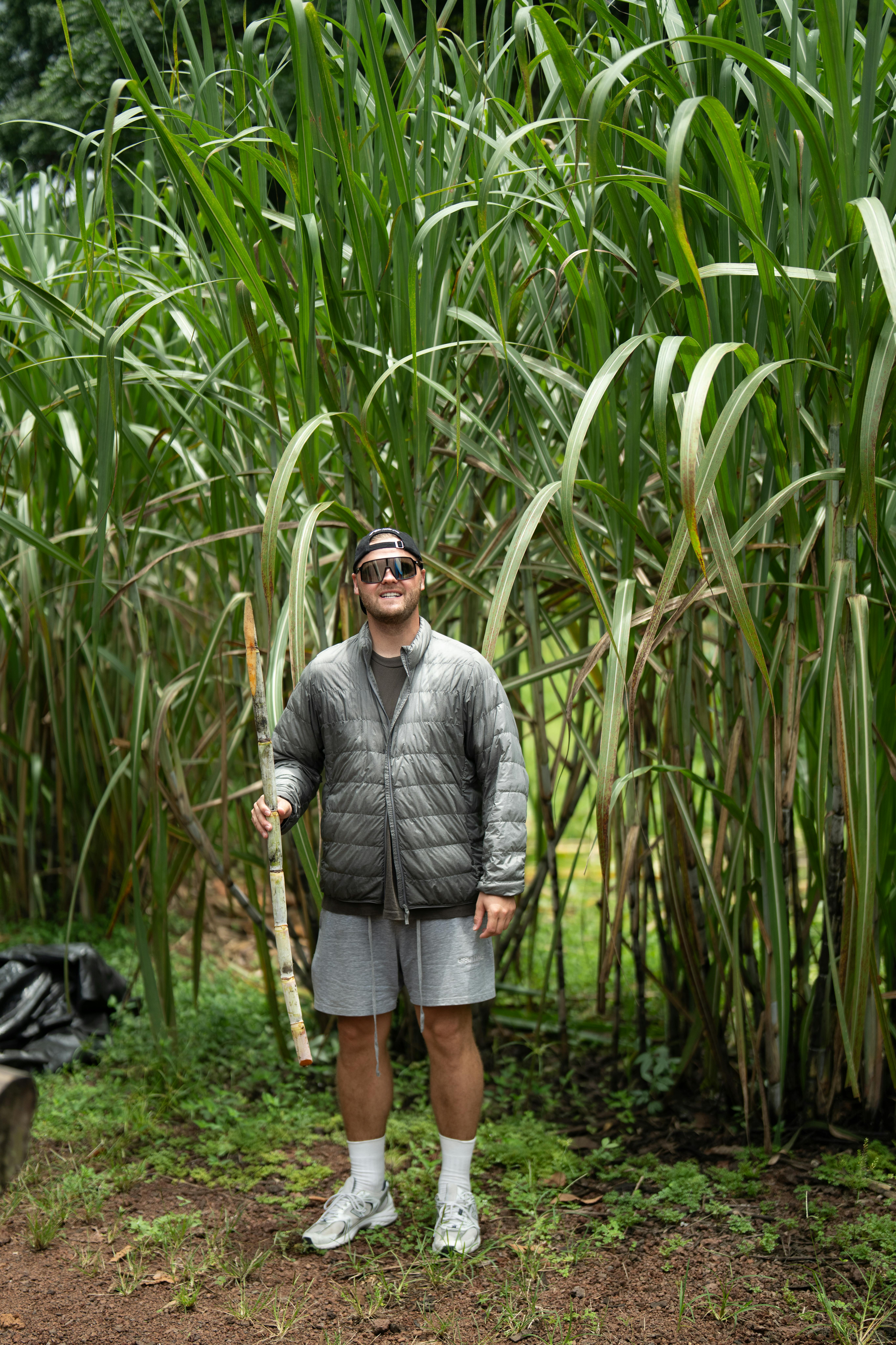 momo攜手百家供應商推永續綠生活 綠活會員突破70萬大關