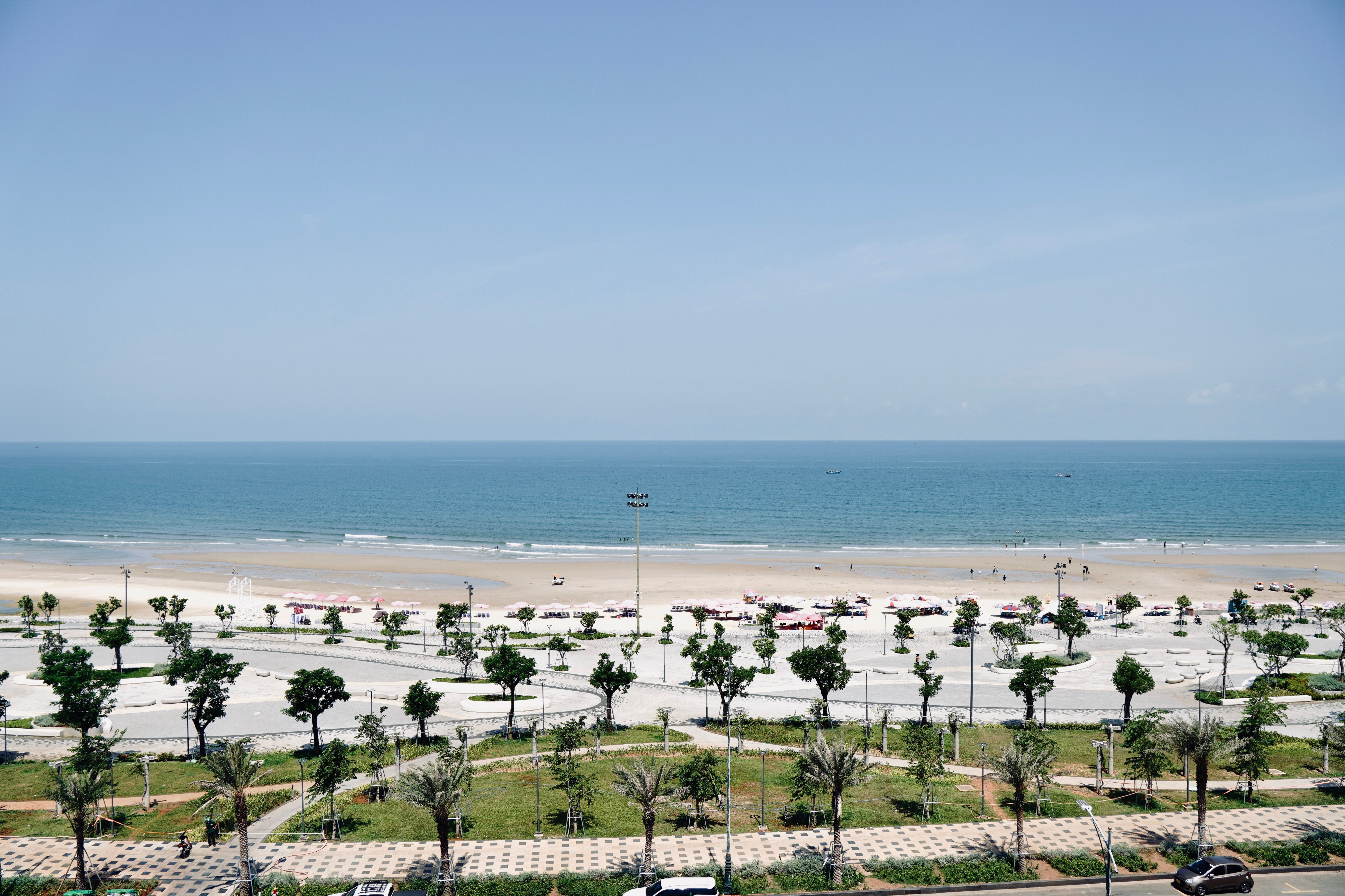 A stunning view of a beach lined with palm trees and vibrant greens under a clear blue sky.
