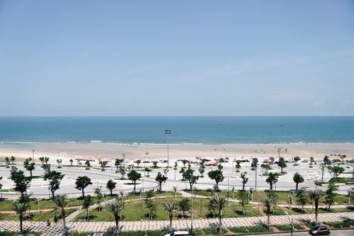 Free A stunning view of a beach lined with palm trees and vibrant greens under a clear blue sky. Stock Photo