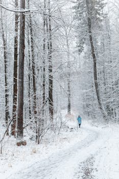 Winter Park in Izhevsk