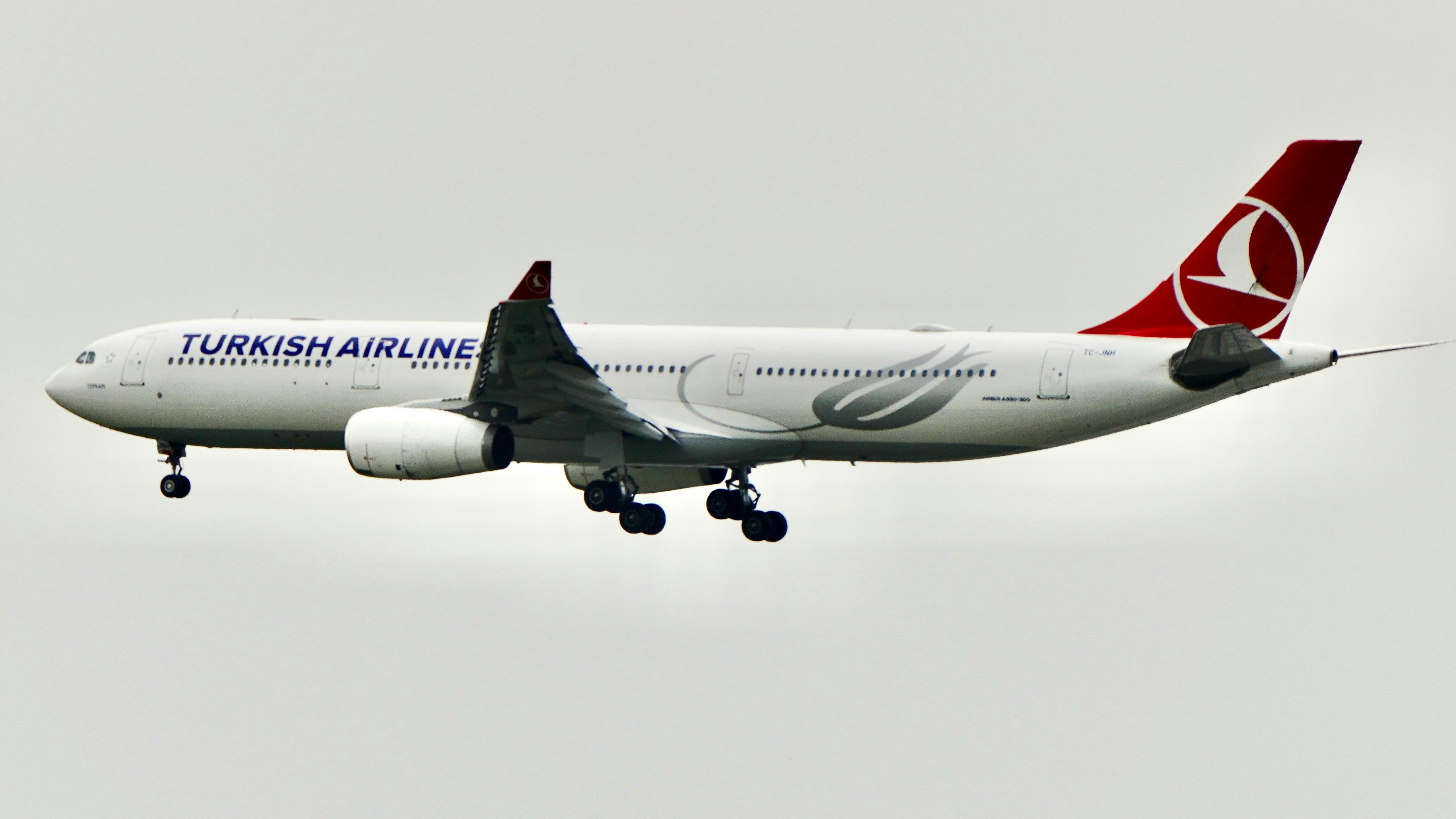 Malaysia Airlines, Tourism New Zealand Launch Joint Travel Push For New Zealand — Photo by Tuan Vy  Spotter on Pexels