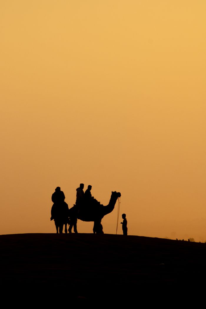 Silhouette of a camel and rider against a vivid sunset near Jaisalmer