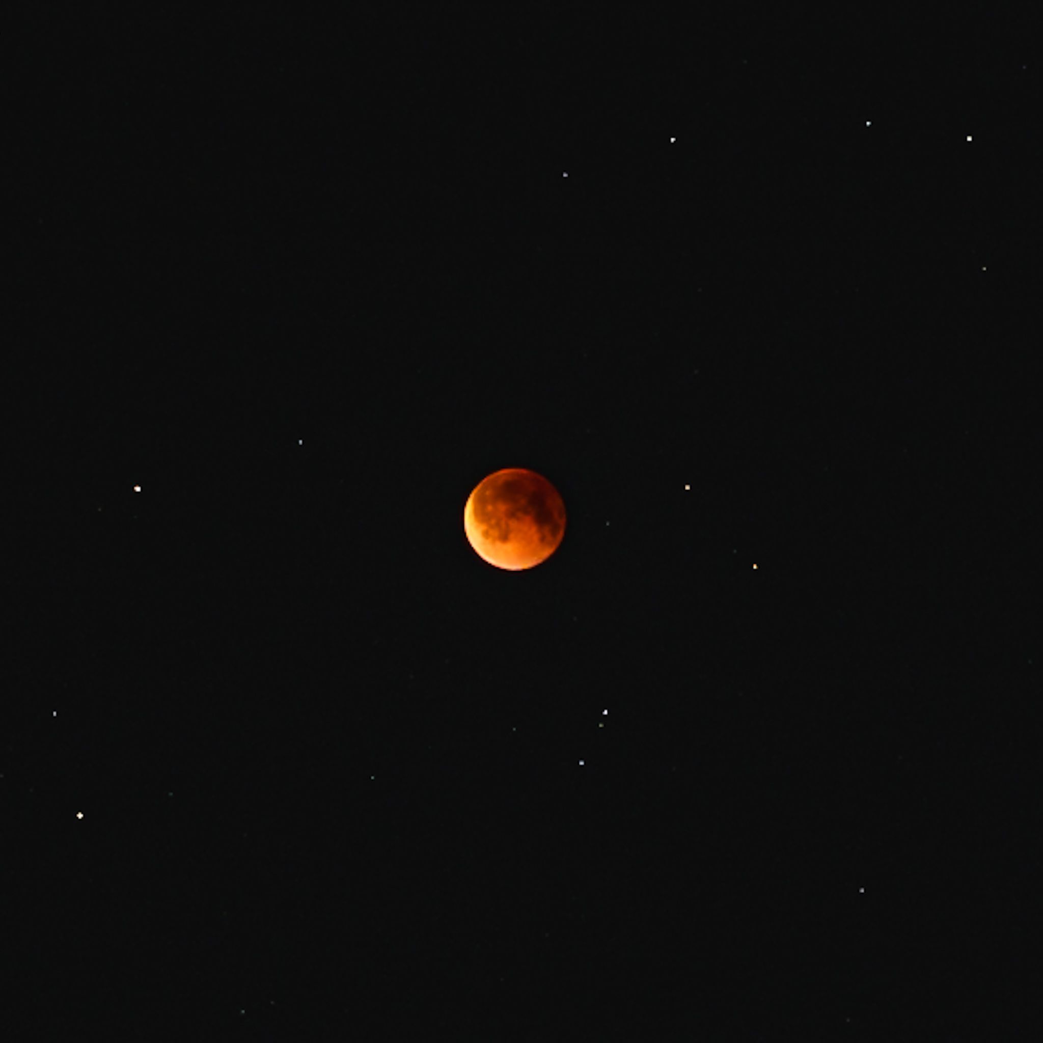 Stunning Lunar Eclipse Over Starry Night Sky · Free Stock Photo