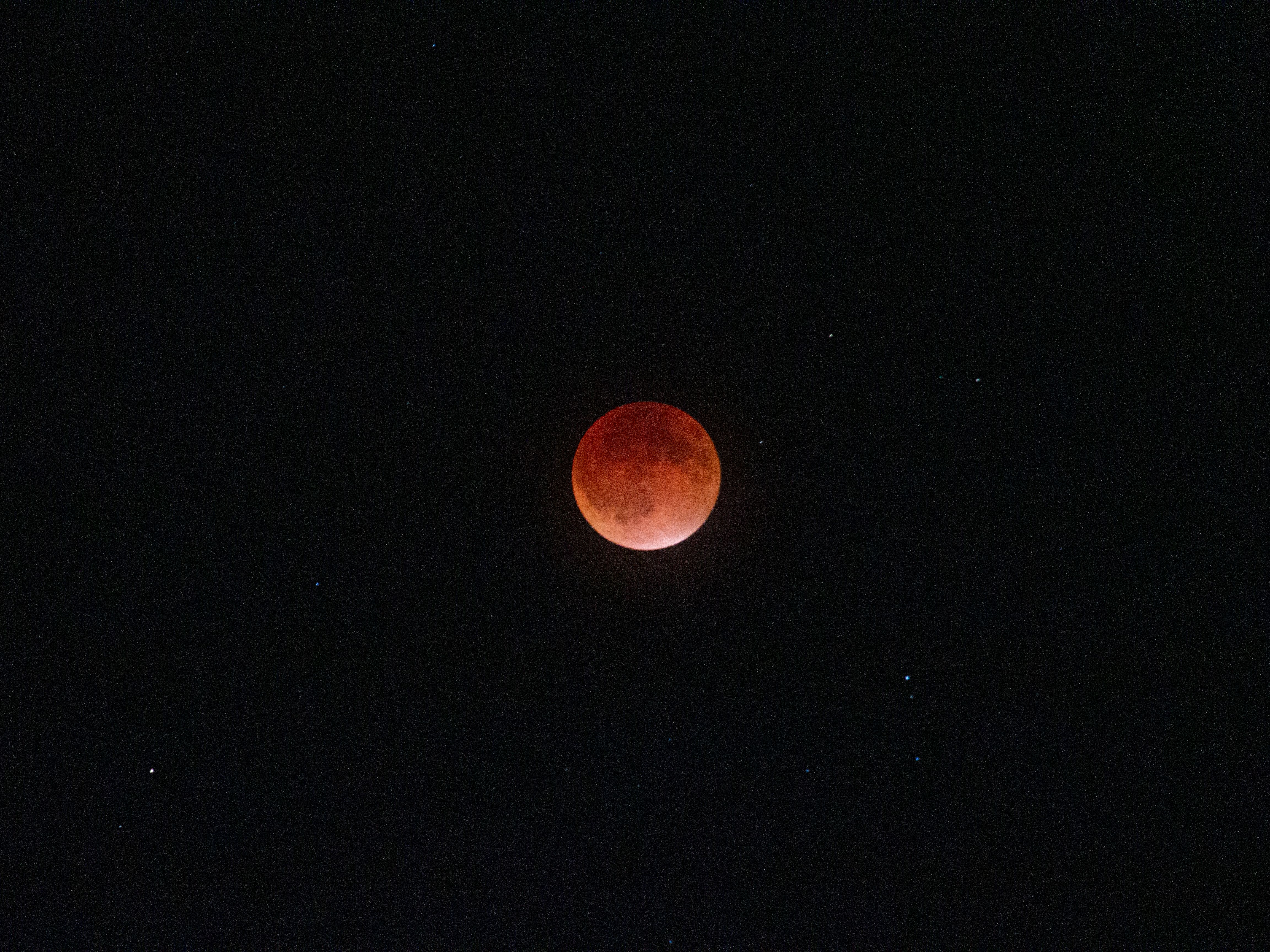 Lunar Eclipse with Red Blood Moon in Night Sky · Free Stock Photo