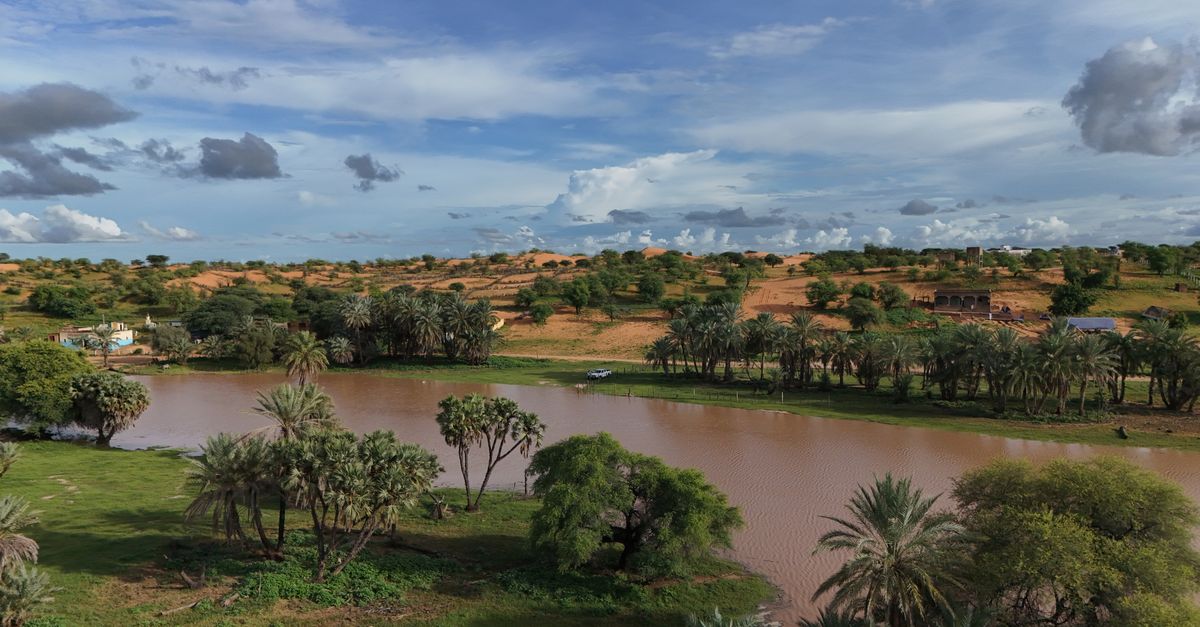 Pays d’Afrique : Liste Complète 54 Nations