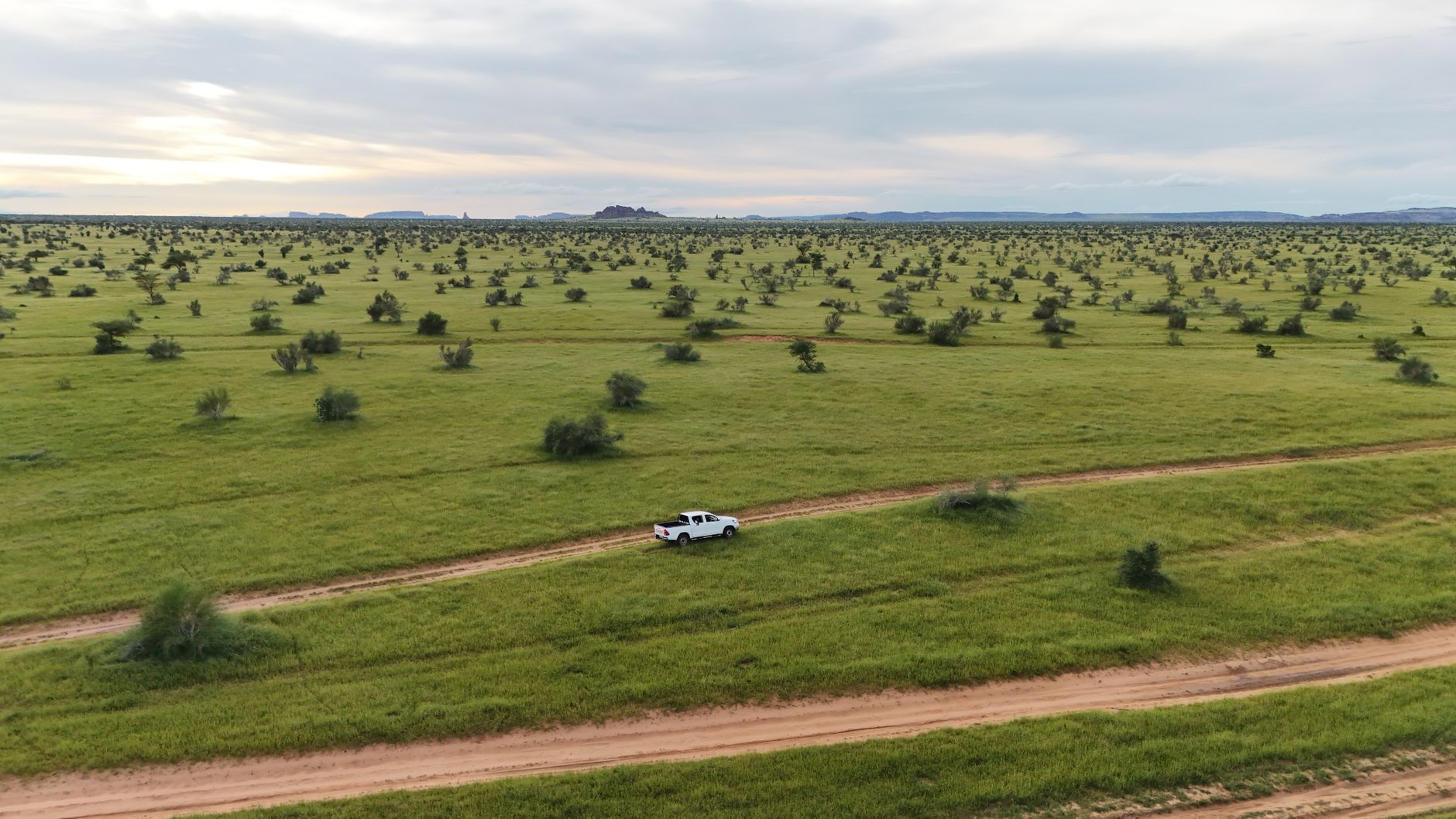 Human Safari Drone