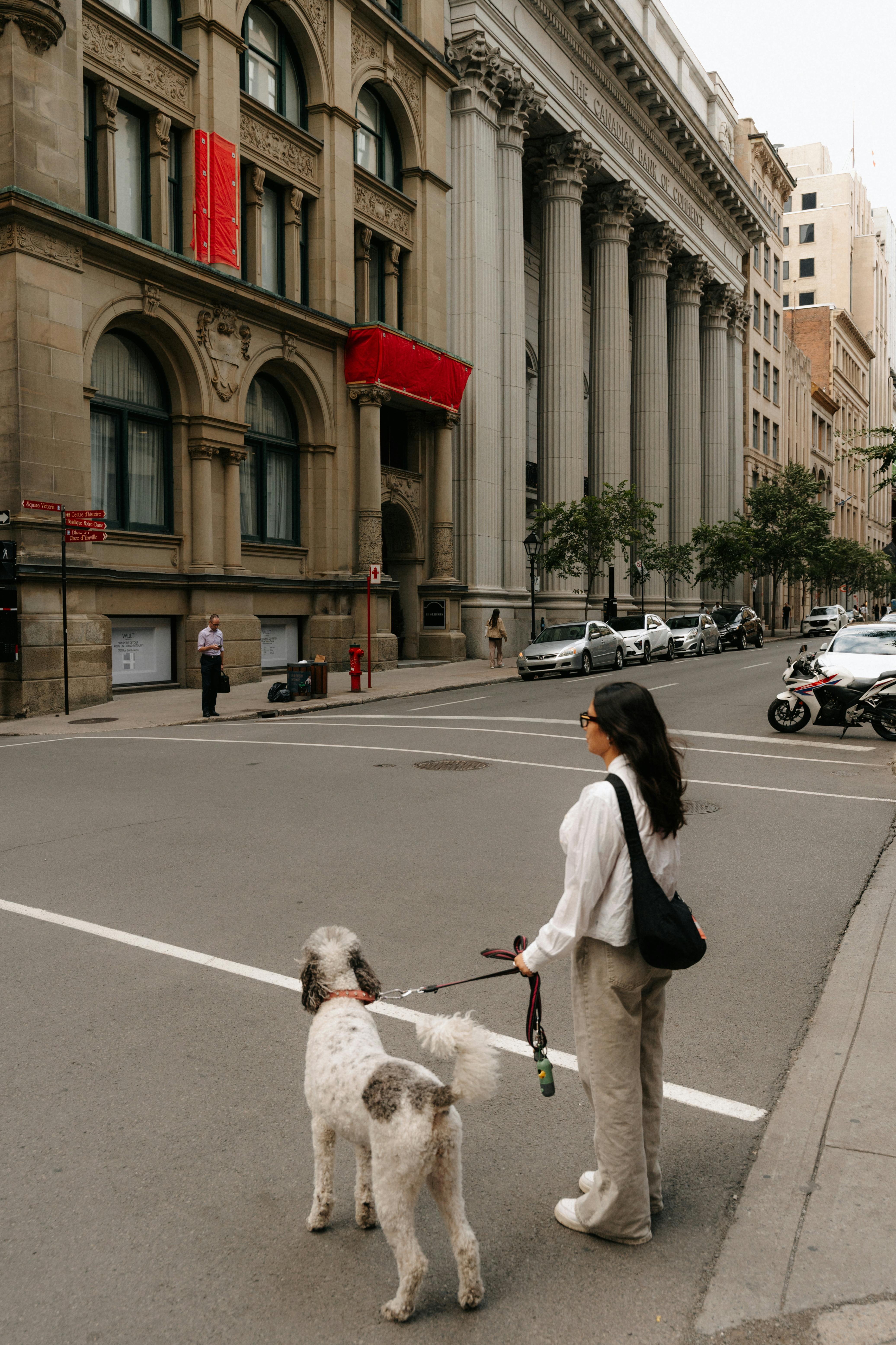 A woman walking her dog on a historic street in downtown Montréal, showcasing urban architecture.