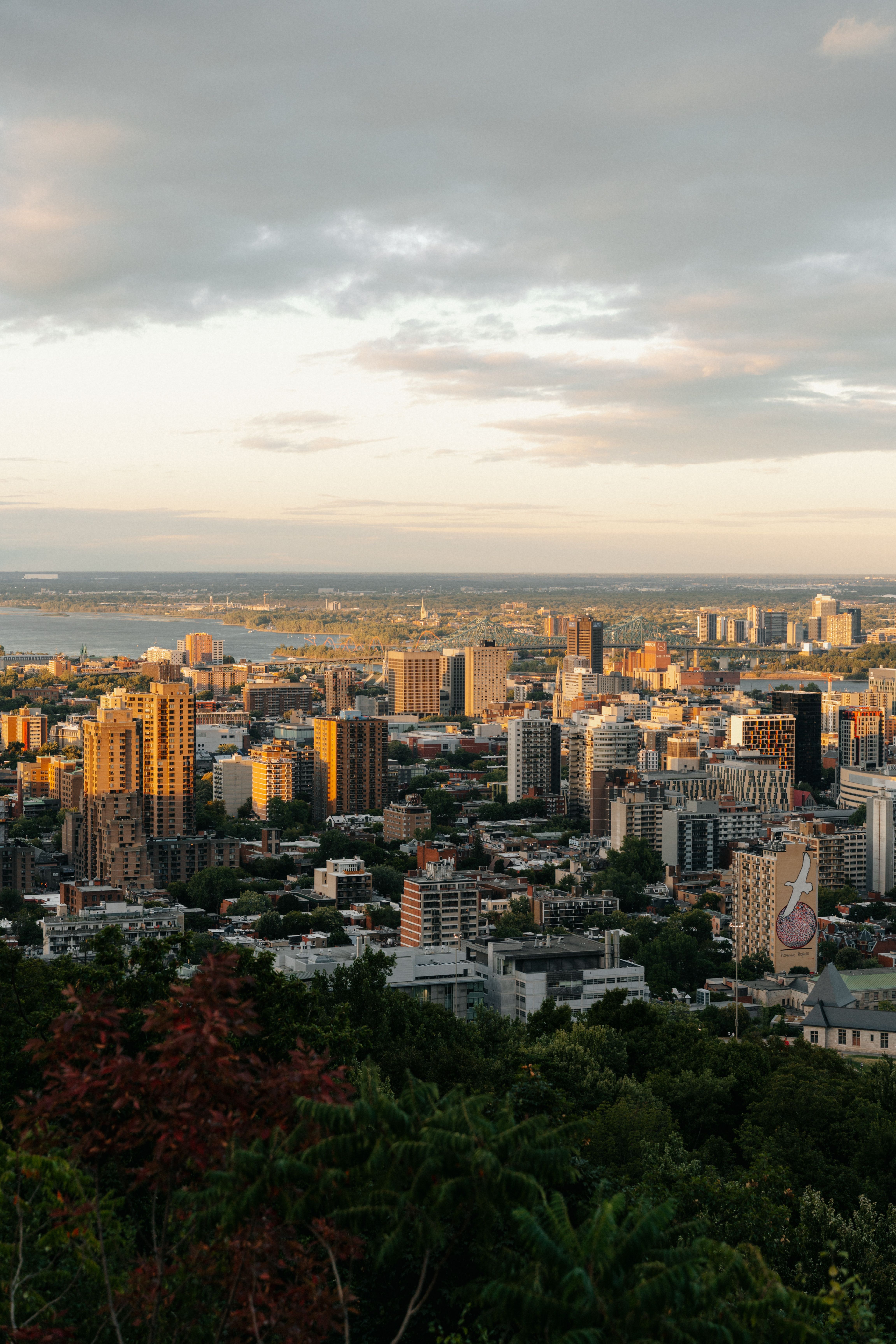 Stunning Aerial View of Montréal at Sunset · Free Stock Photo