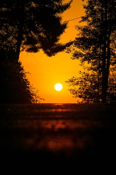 Vibrant orange sunset framed by silhouetted forest trees, creating a peaceful scene.