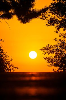 Stunning sunset with vibrant colors framed by silhouetted trees.
