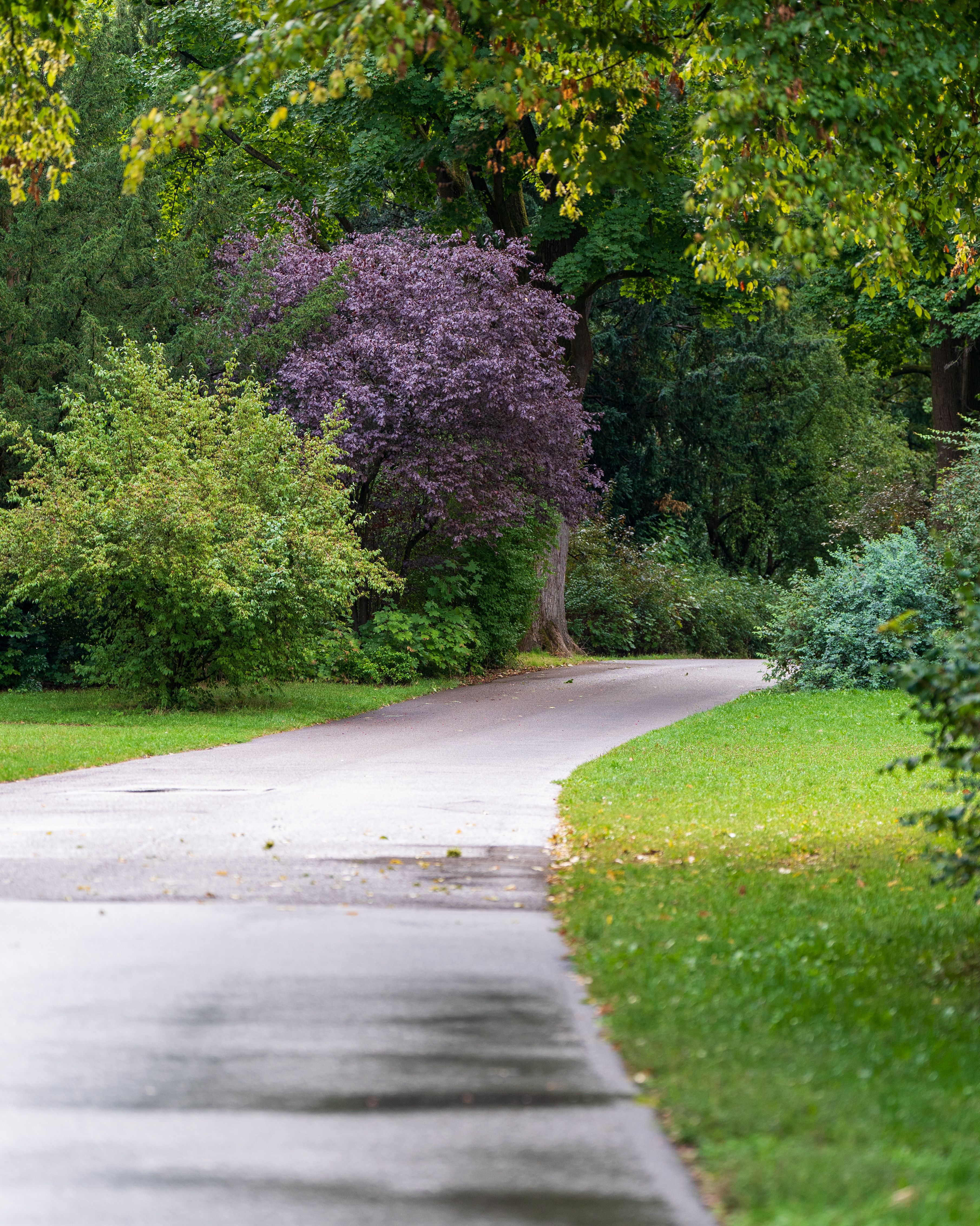 Beautiful Pathway Photos, Download The BEST Free Beautiful Pathway ...