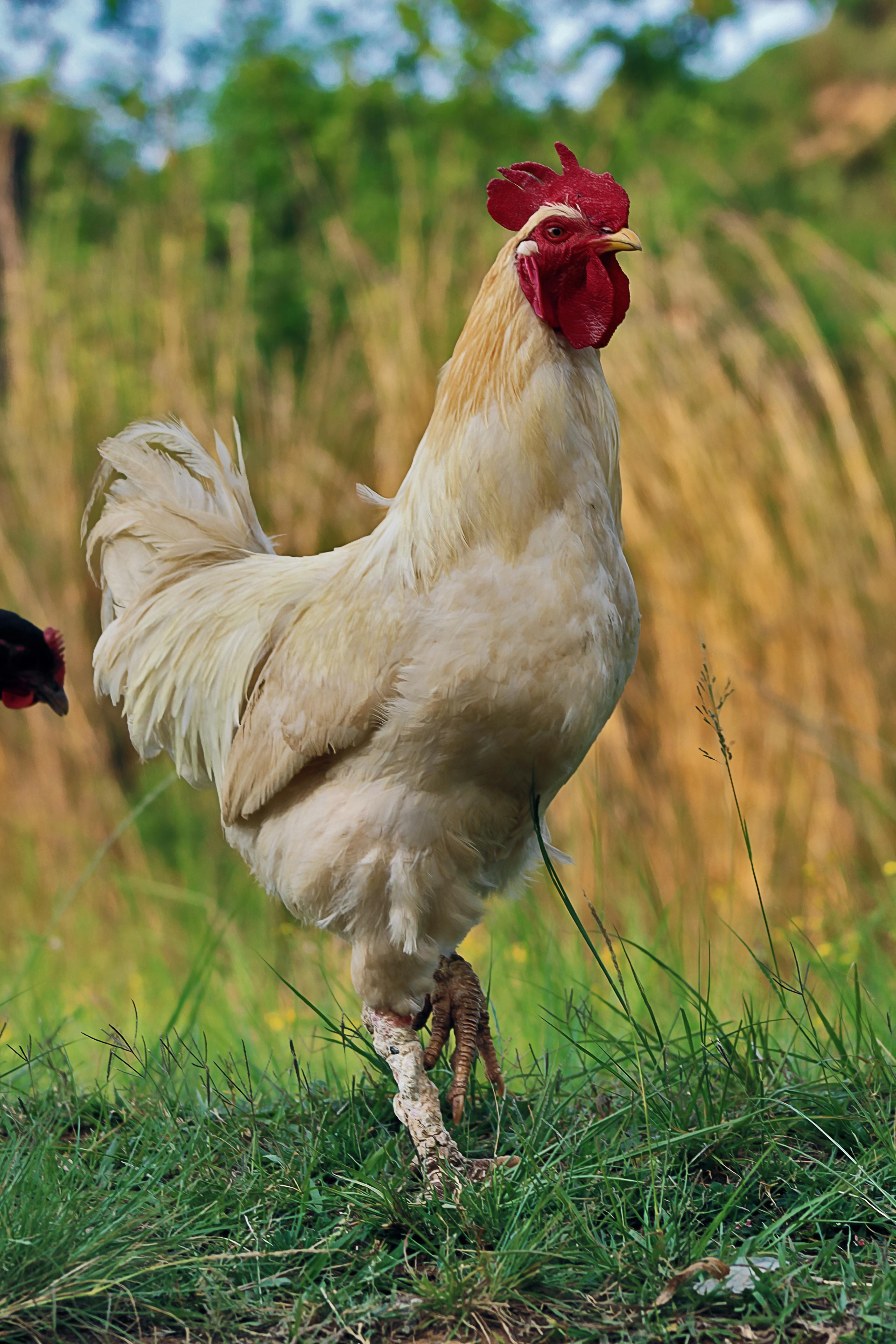 Biofarm insights image