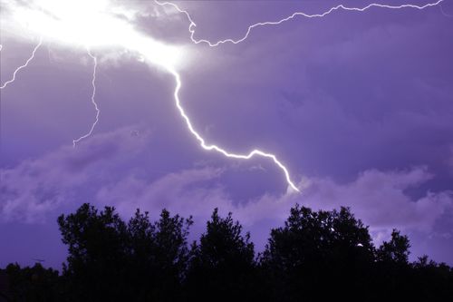 Free A powerful lightning bolt illuminates the night sky over silhouetted trees, showcasing nature's raw power. Stock Photo