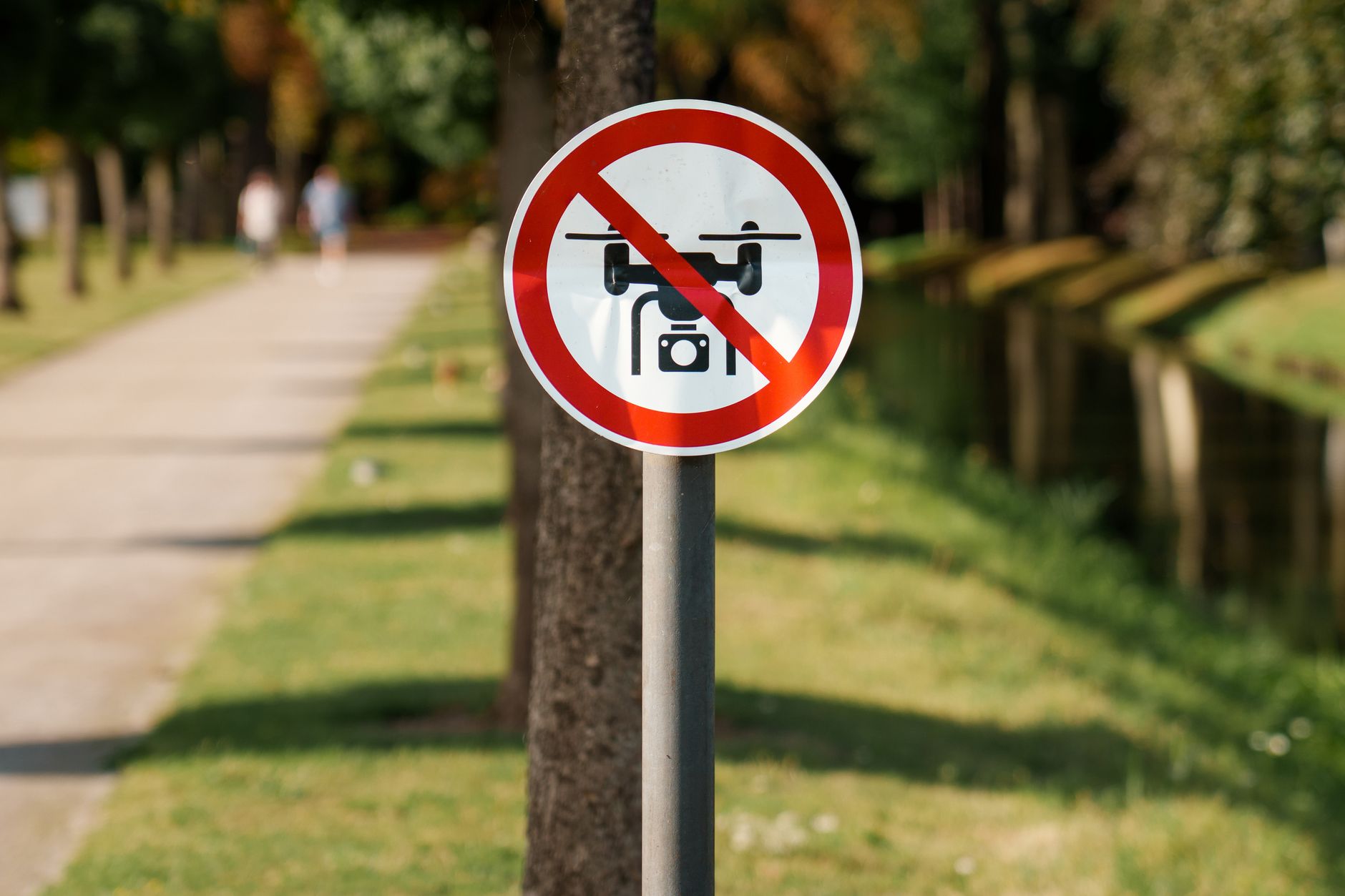 OpenAI Proposes National AI Safety Rules for Regulation