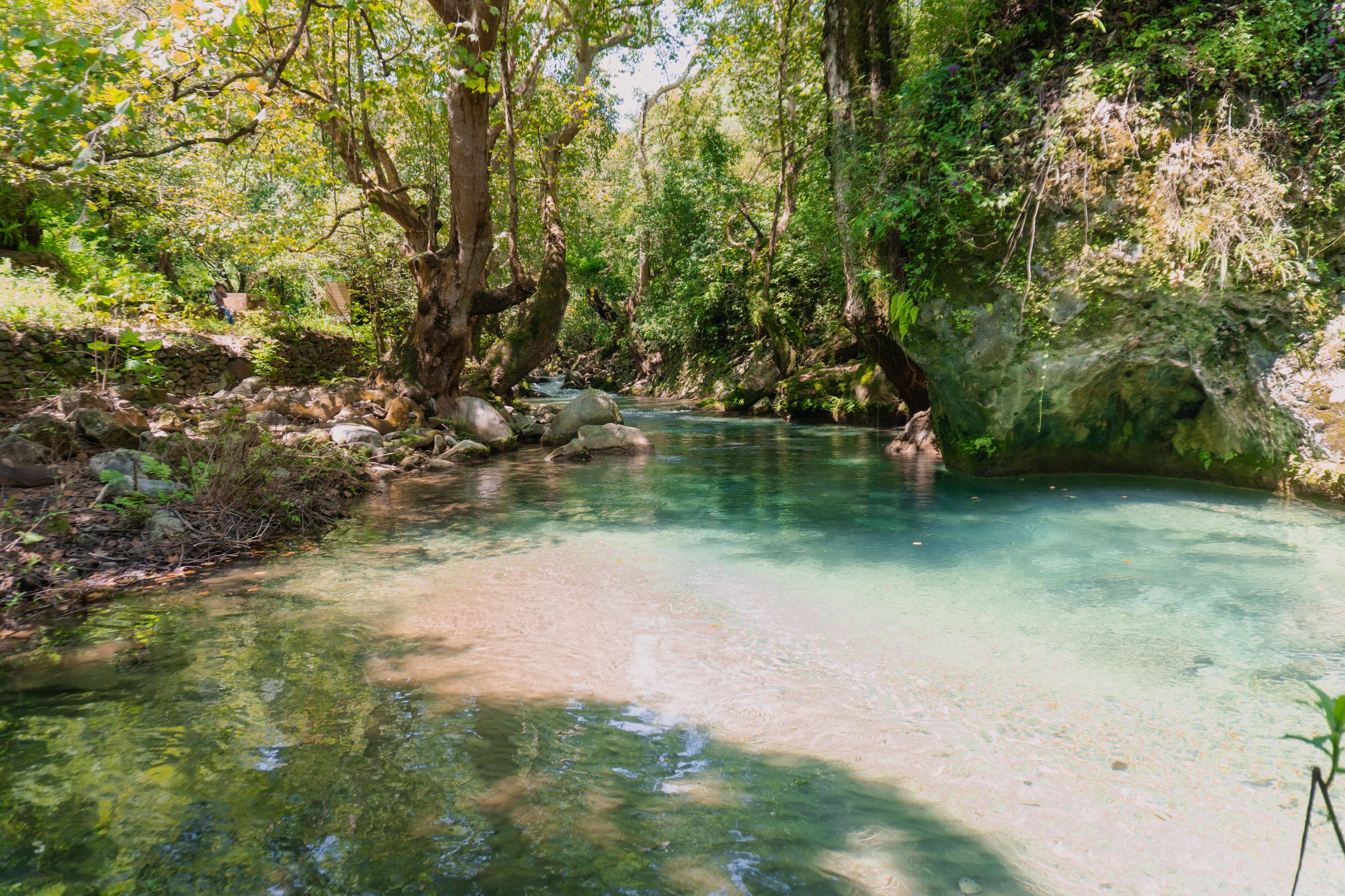 Dunn’s River Falls
