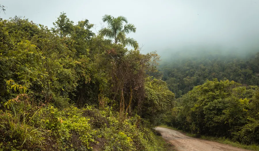 La route depuis Cobán