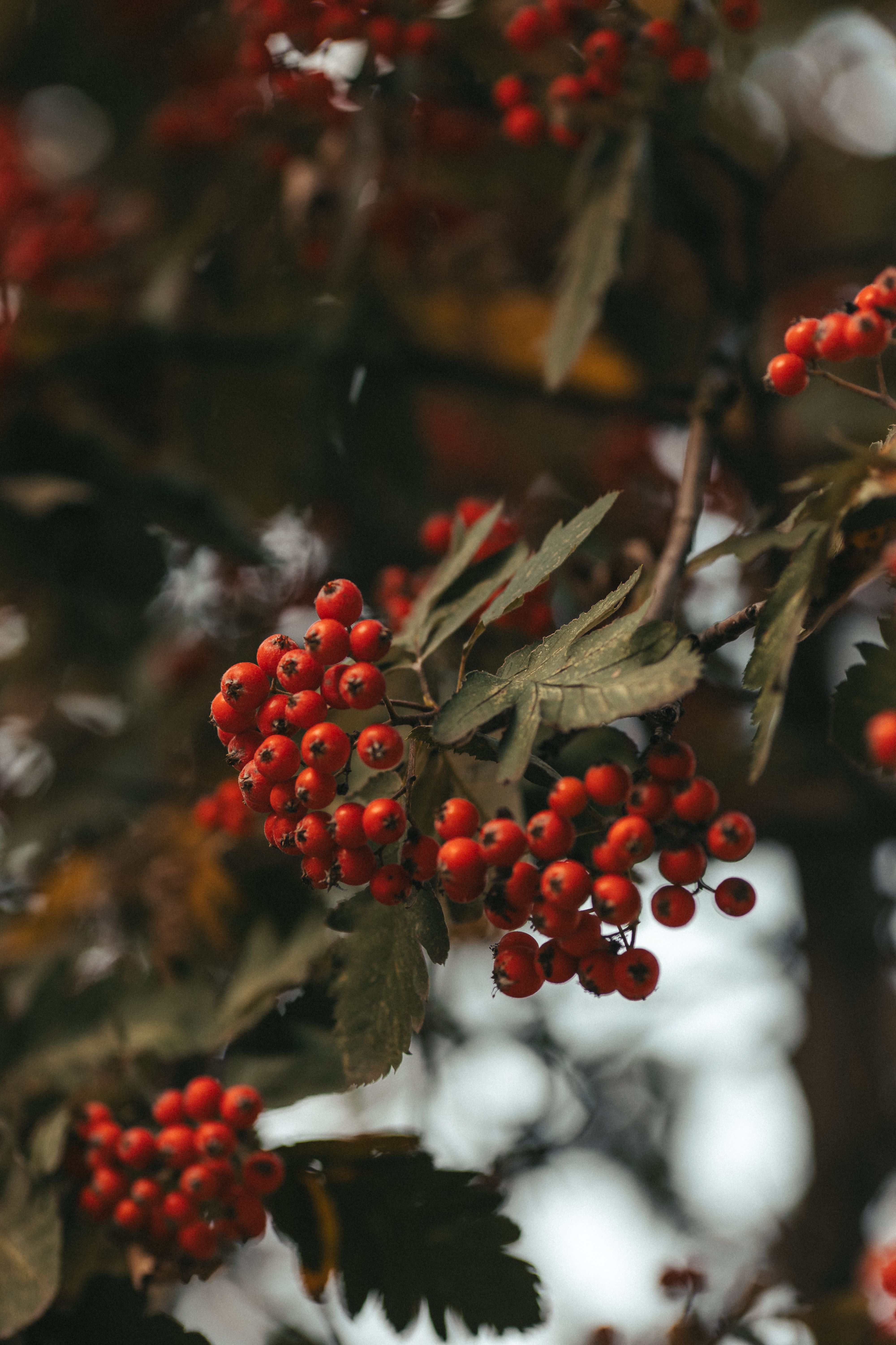Color Texture Photos, Download The BEST Free Color Texture Stock Photos ...